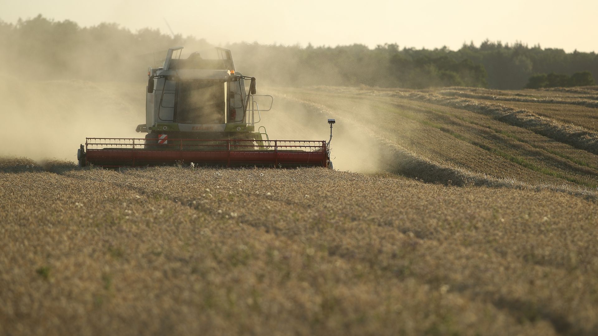 Farming in Germany. Crops 