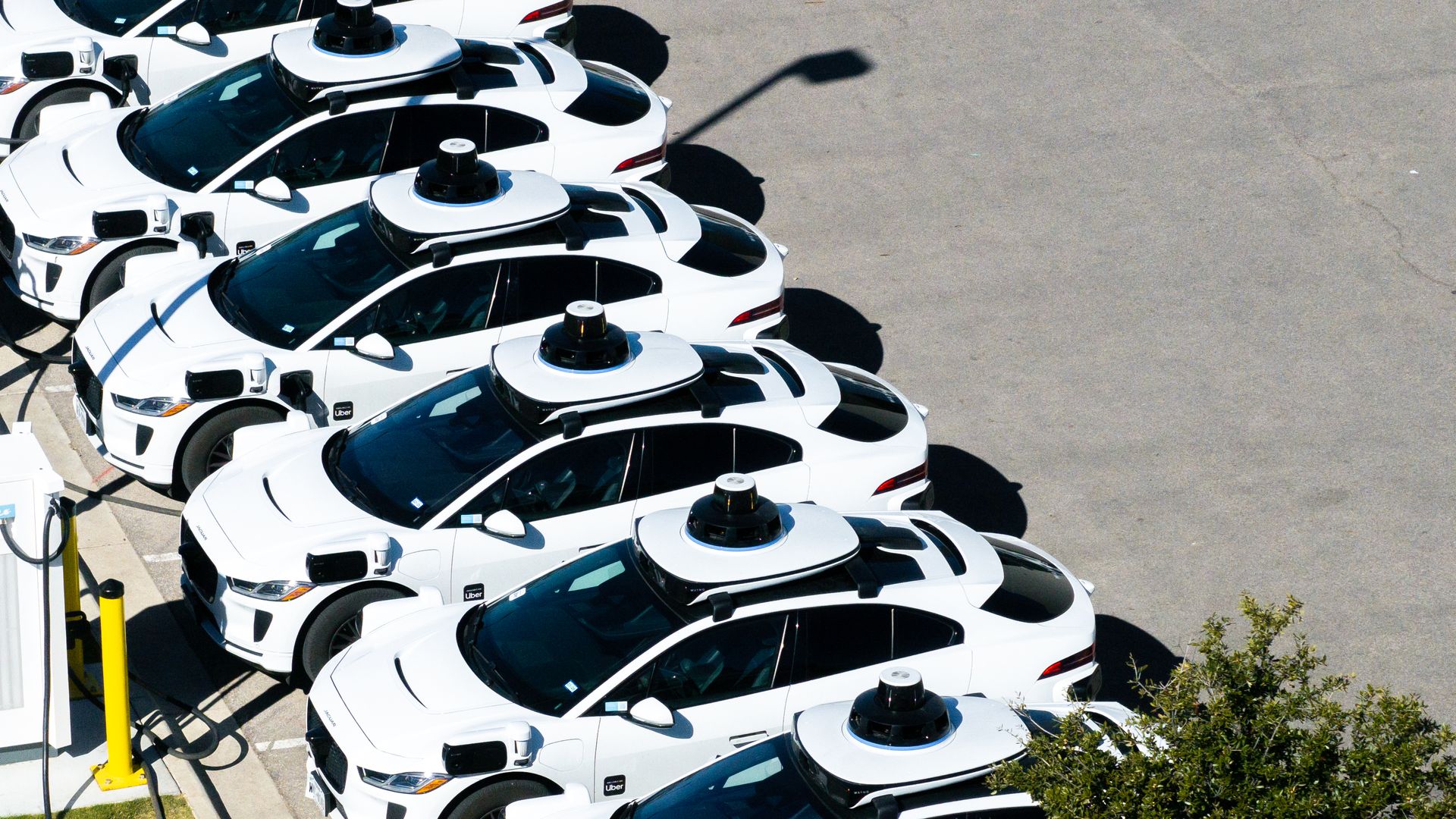 Aerial view of a row of white Uber self-driving cars with circular sensor domes on their roofs, parked diagonally in a lot.