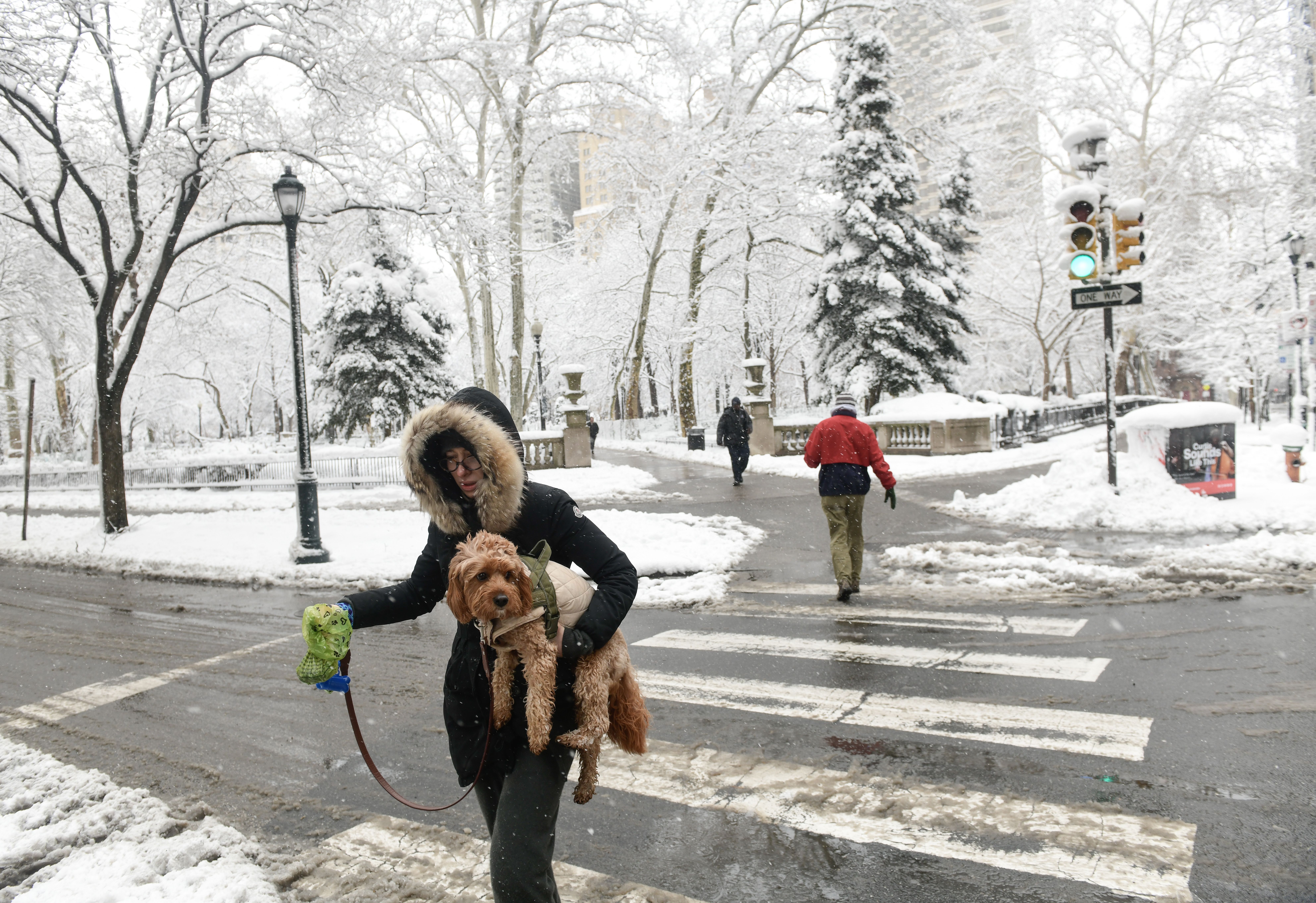 Person in black winter coat with fur hood carrying a small brown dog while walking across a snowy city street with snow-covered trees and a green traffic light in the background.