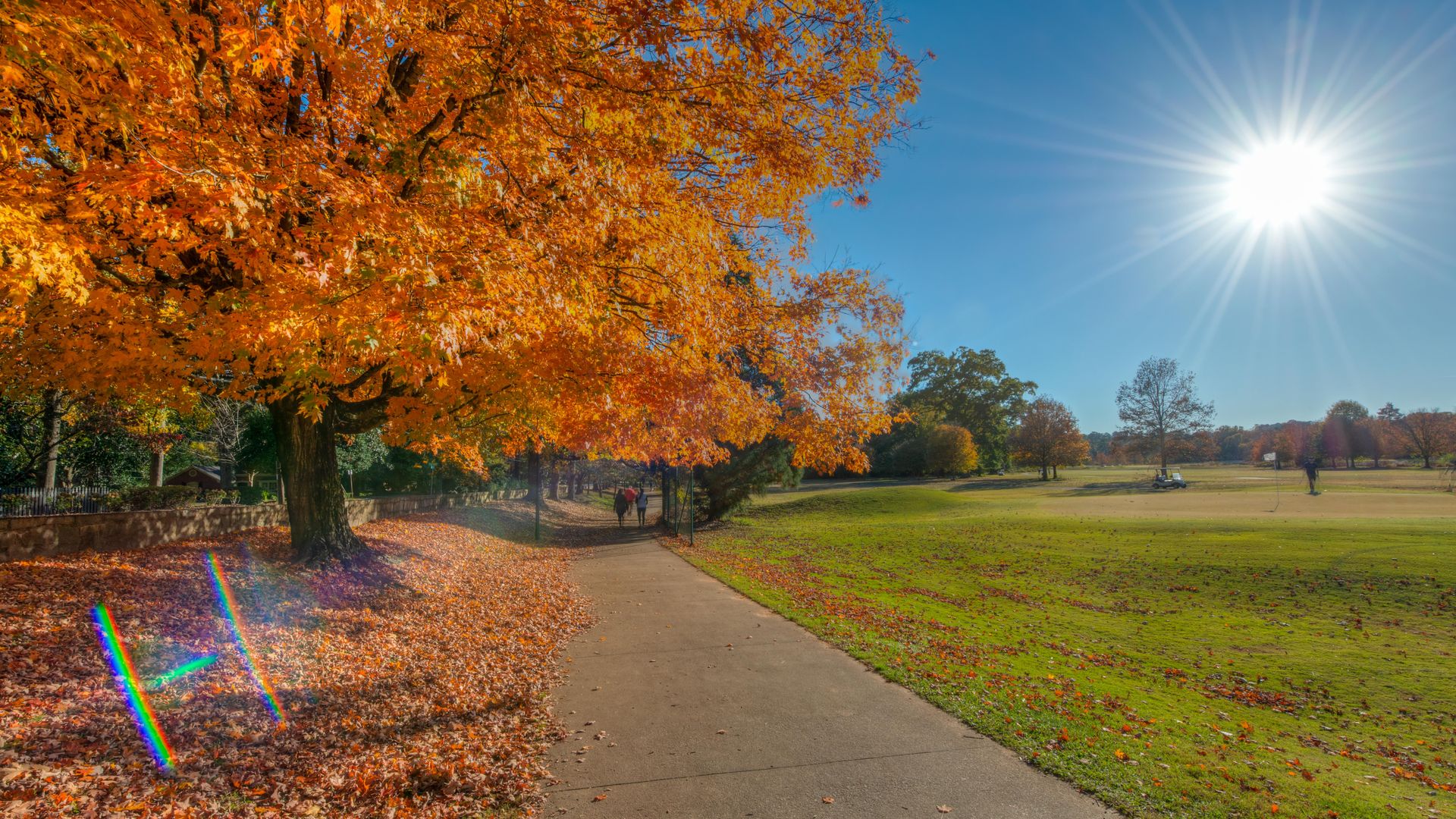 A photo of a paved path with pedestrians underneath trees with vibrant orange and yellow leaves