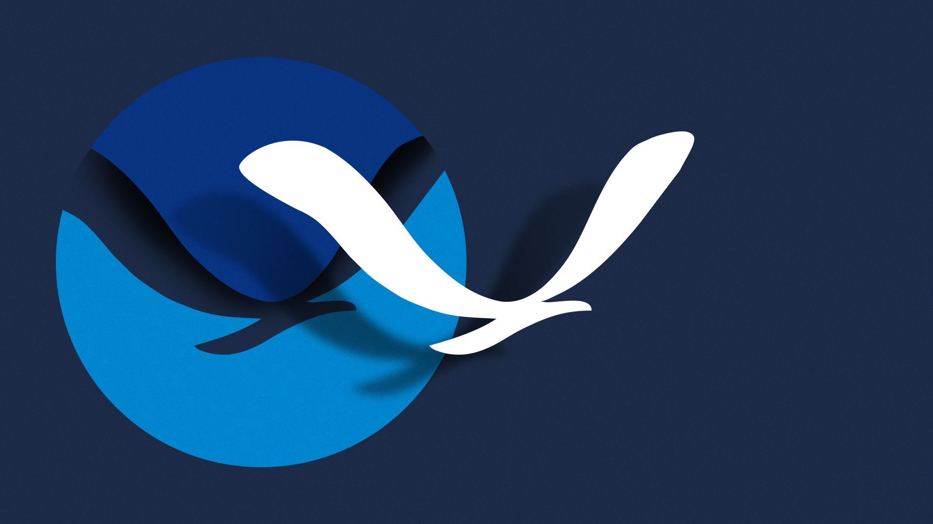 Illustration of the bird flying off the NOAA logo.