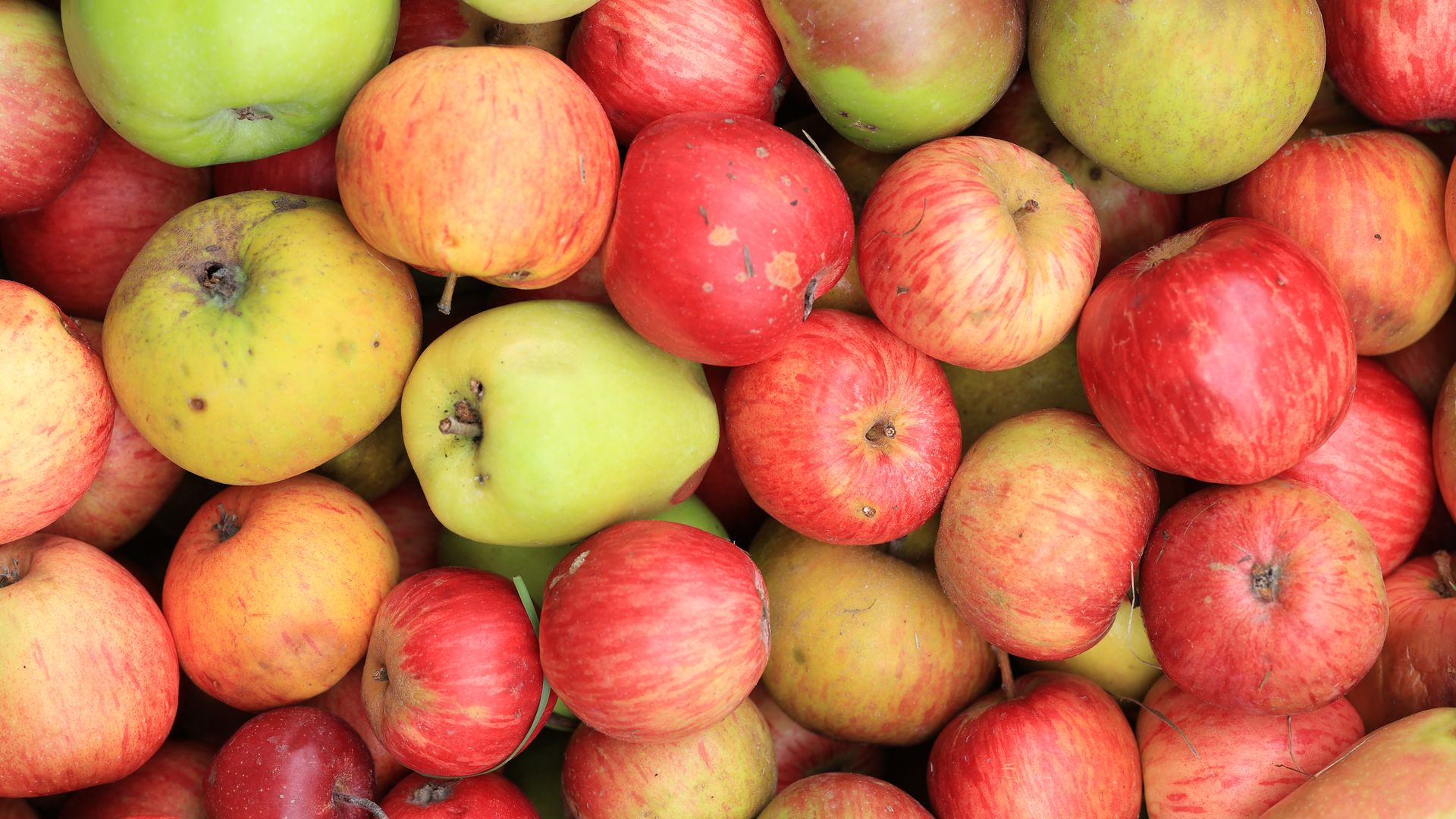 a zoom in of a bunch of apples