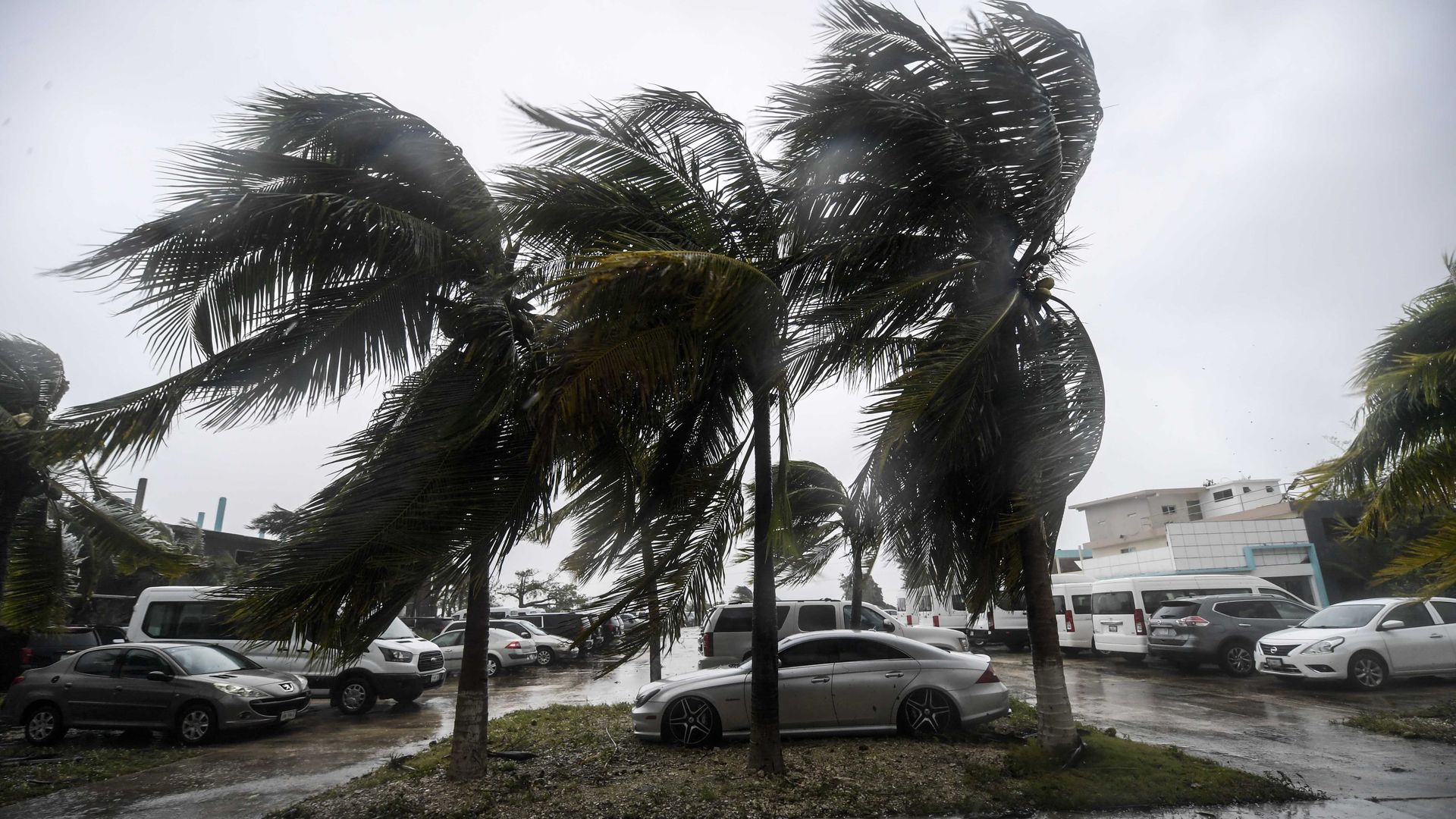 Winds lash palm trees after the passage of Hurricane Delta, in Cancun, Quintana Roo state, Mexico