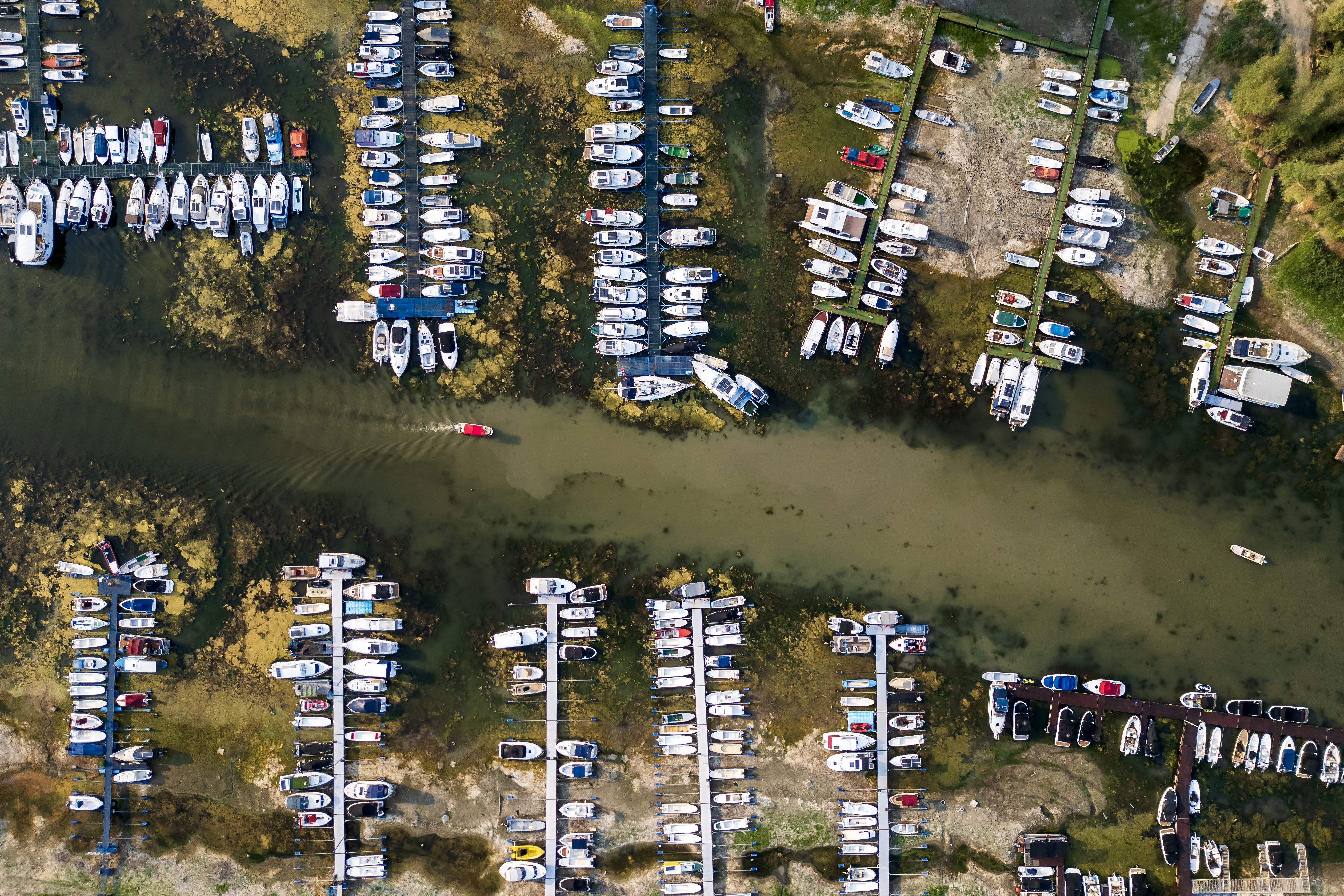 Boats stranded in a Serbian marina along the Danube River on Aug. 7. Photo: Andrej Isakovic/AFP via Getty Images