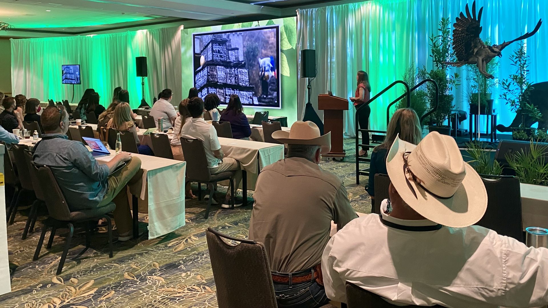 A group of people watch a presentation in a ballroom
