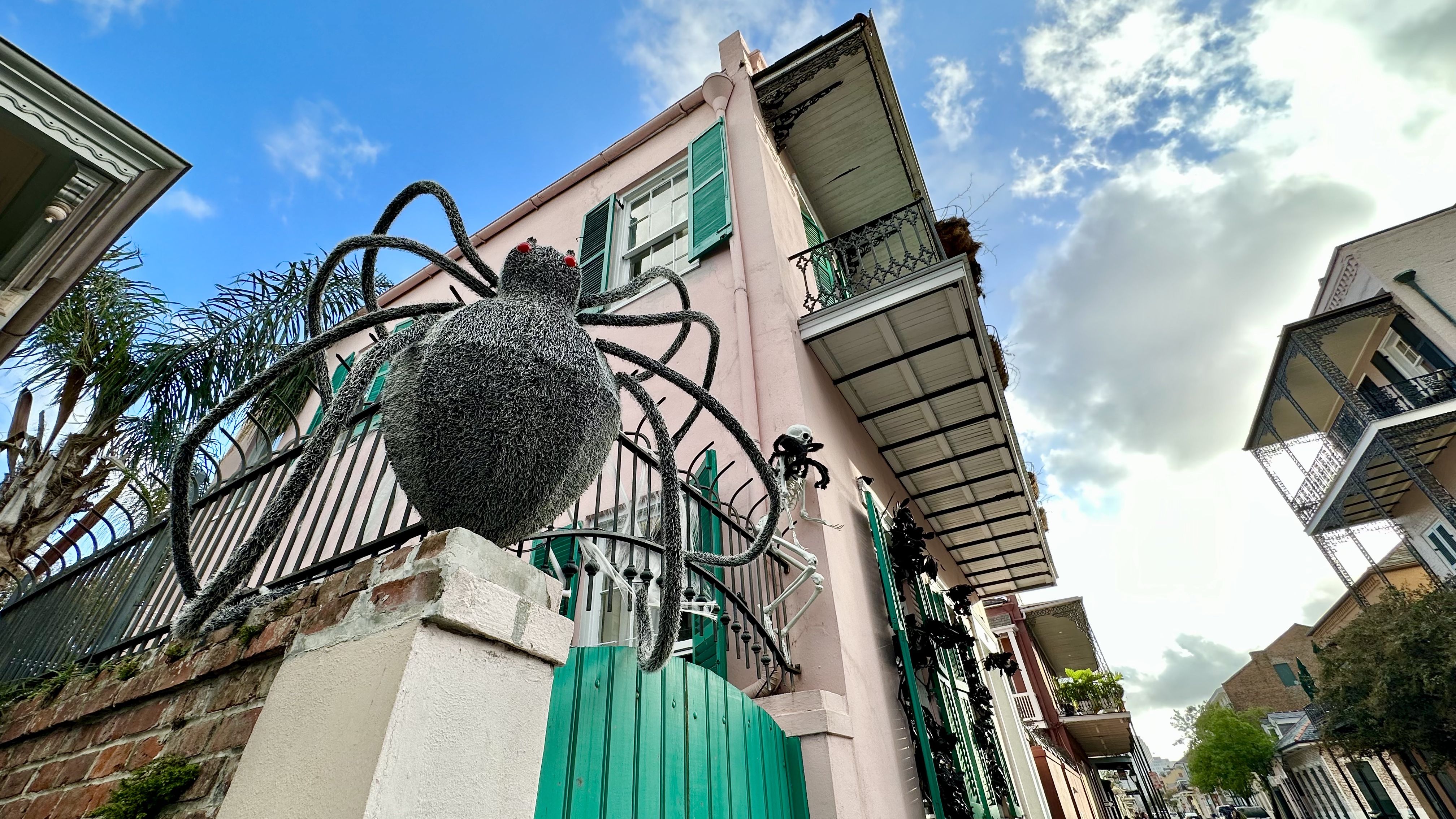 Photo shows a giant spider on the side of a French Quarter house