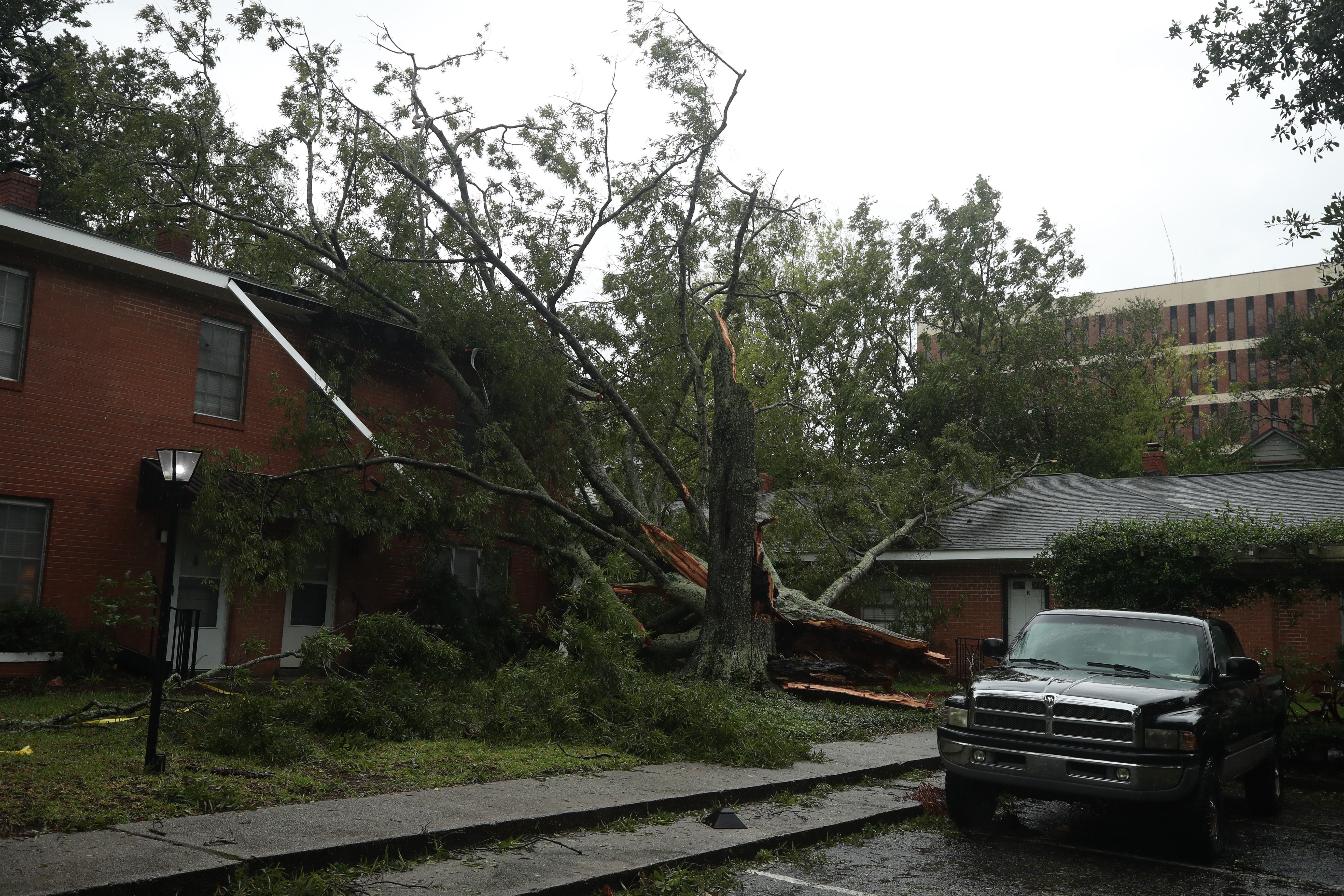  A fallen tree rests on a house as Hurricane Dorian hit South Carolina