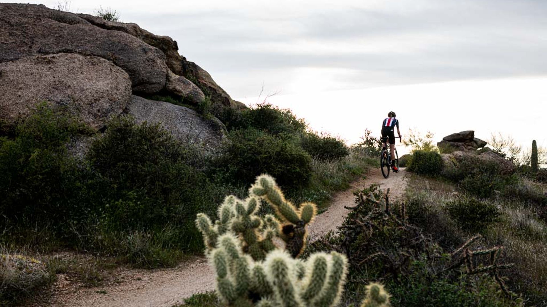 Scenic view of cyclist riding along outdoor trail.
