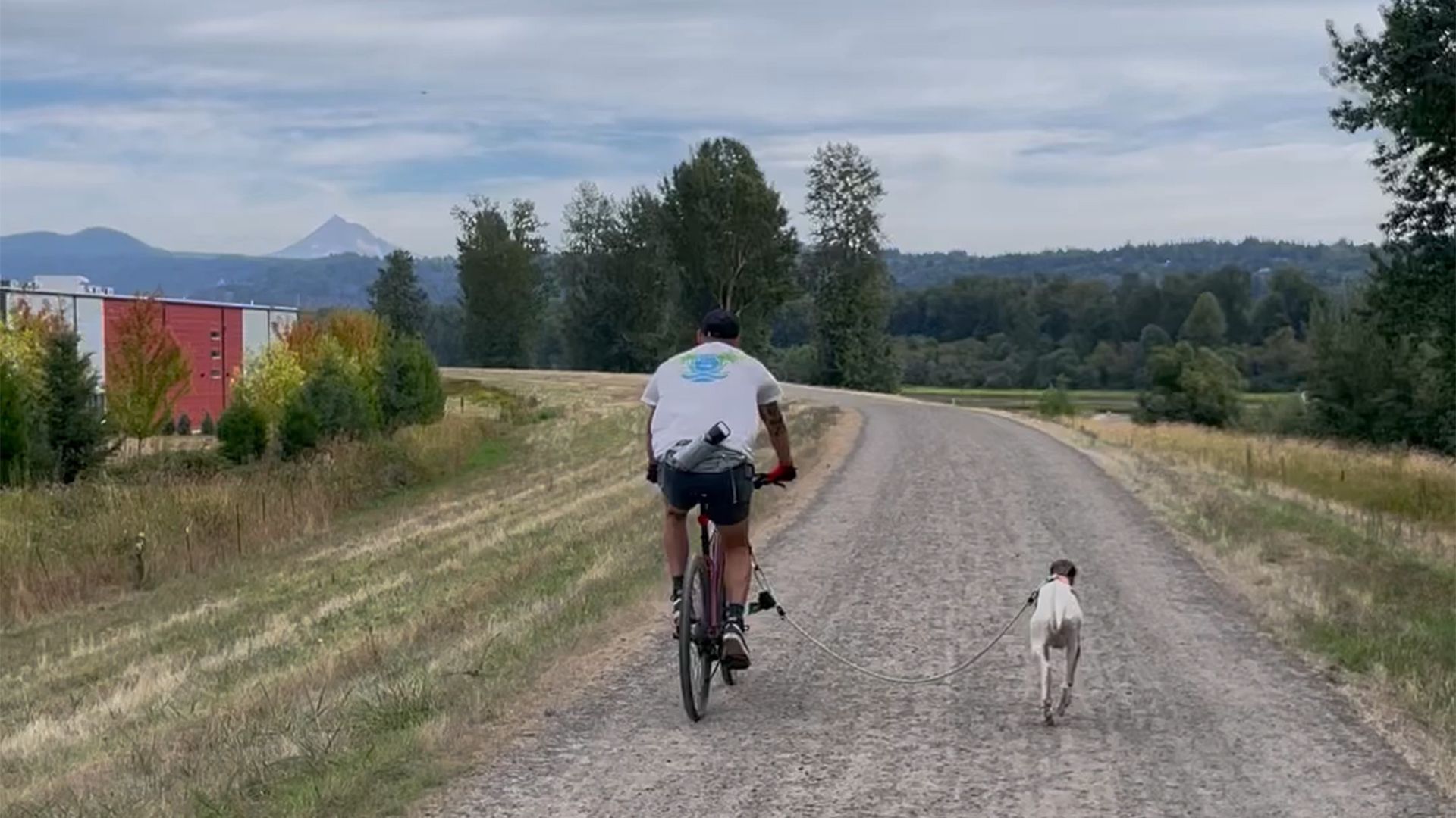 A person rides a bike on a dirt path with a dog.