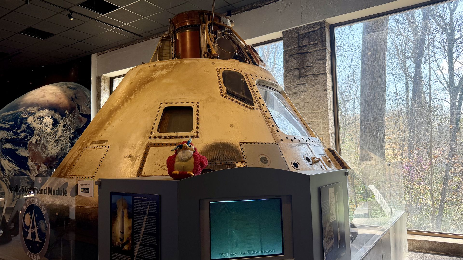 Gold Apollo Command Module on display indoors, riveted panels and windows visible. A small red plush bird sits on its surface. Earth model to the left; large window shows leafless trees outside.