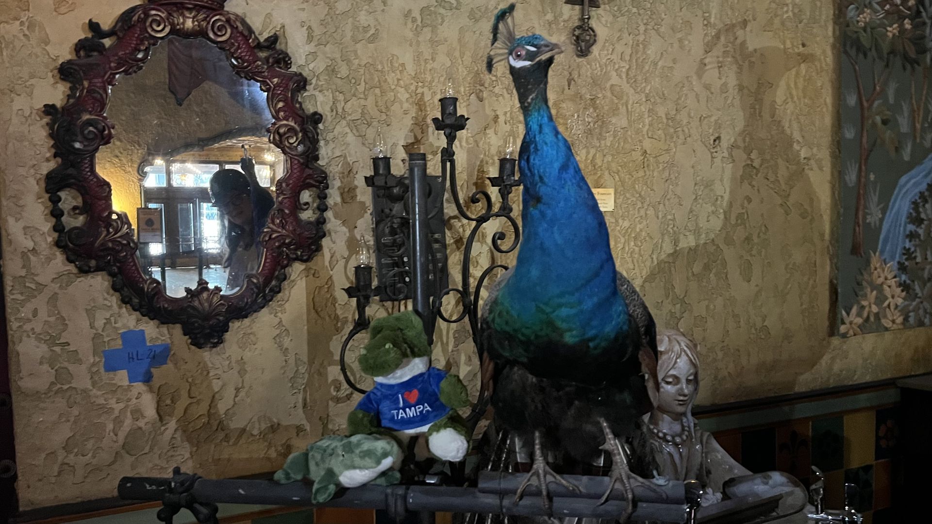 Quirky shop interior with a large ornate red mirror on a textured beige wall, a tall blue peacock statue beside a black wrought-iron candelabrum, and plush toys including a green bear in a blue TAMPA shirt.