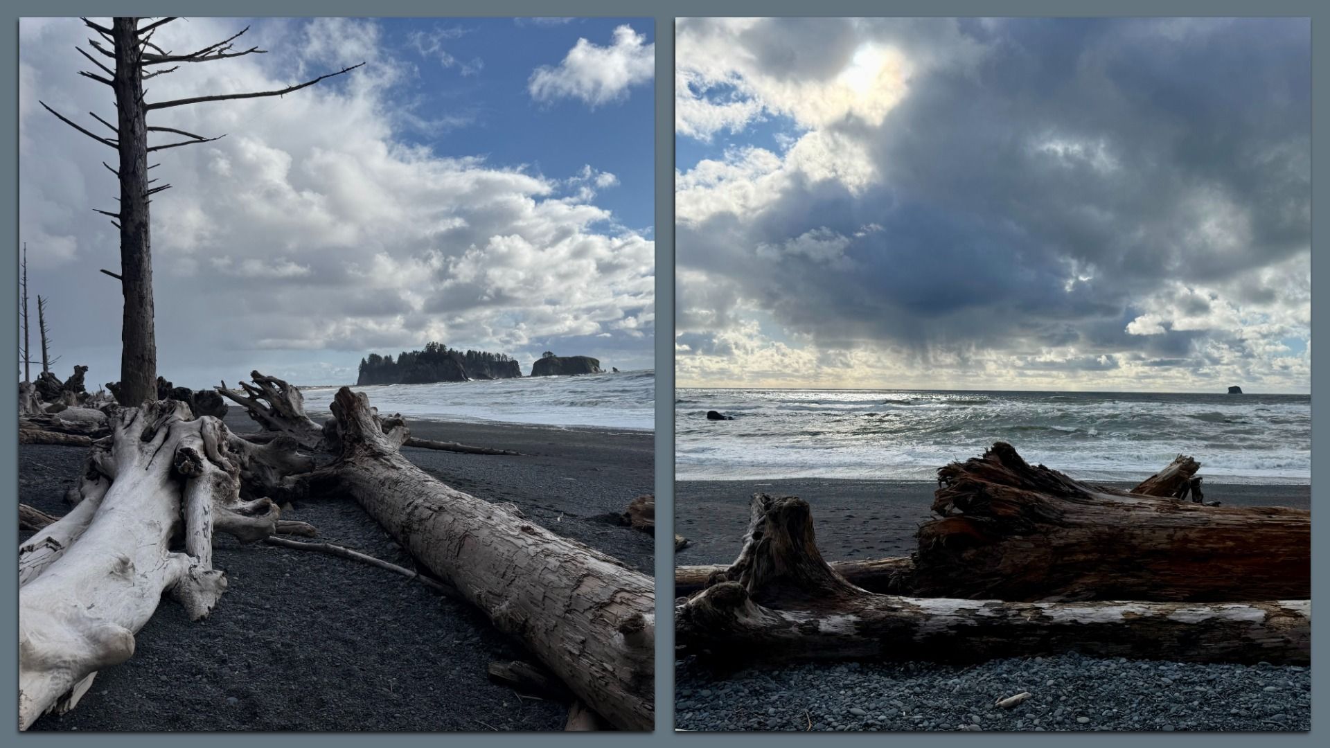 Two photos of driftwood on Rialto Beach in Washington state. 