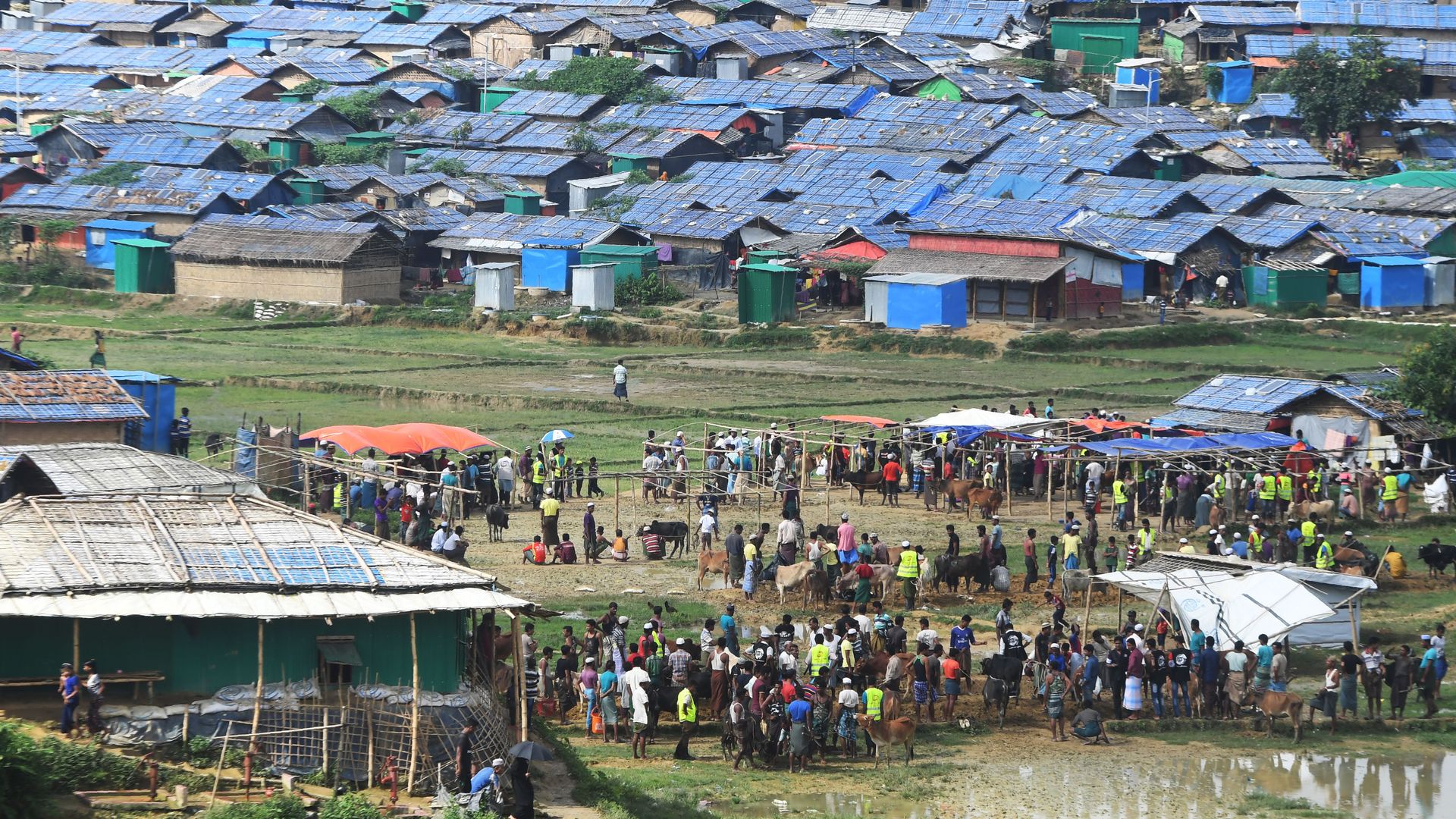 Rohingya Muslims at a refugee camp in Bangladesh