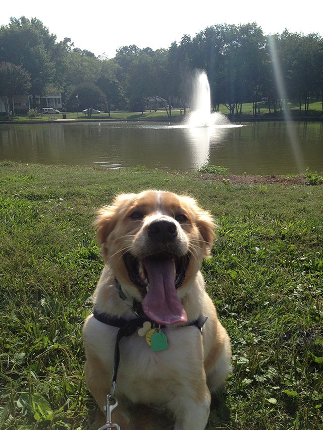 freedom-park-charlotte-nc