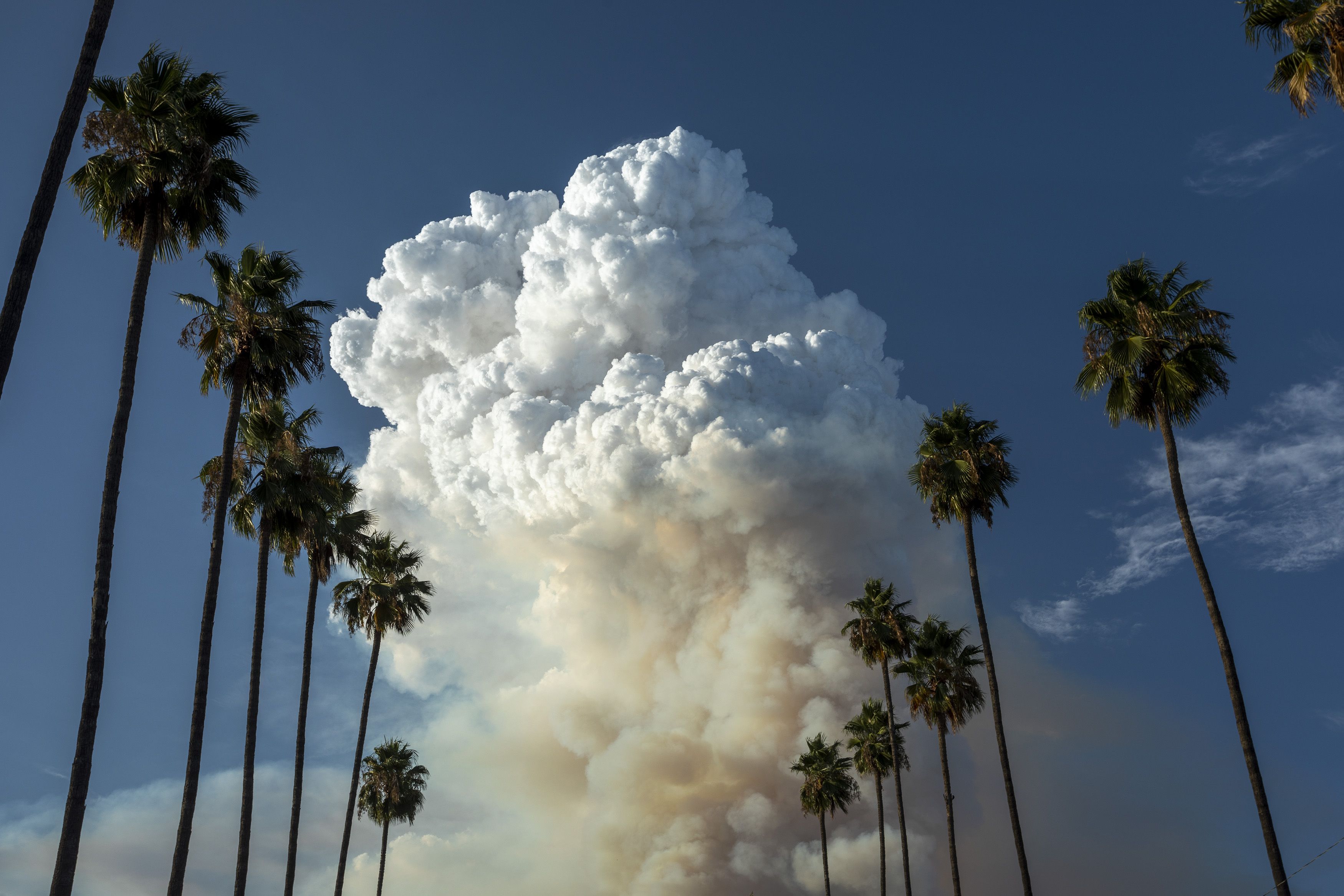 A massive pyrocumulus cloud forms atop a smoke plume as record heatwave conditions stoke the Ranch 2 Fire on August 15