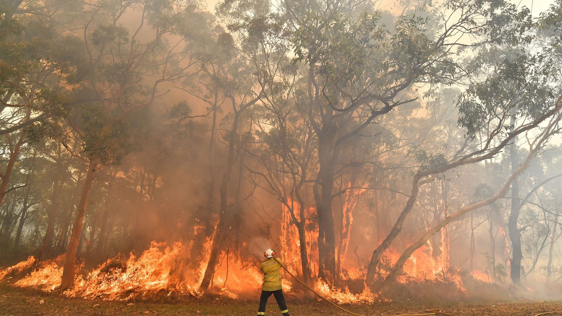 This photo taken on December 10, 2019 shows a firefighter conducting back-burning measures to secure residential areas from encroaching bushfires in the Central Coast