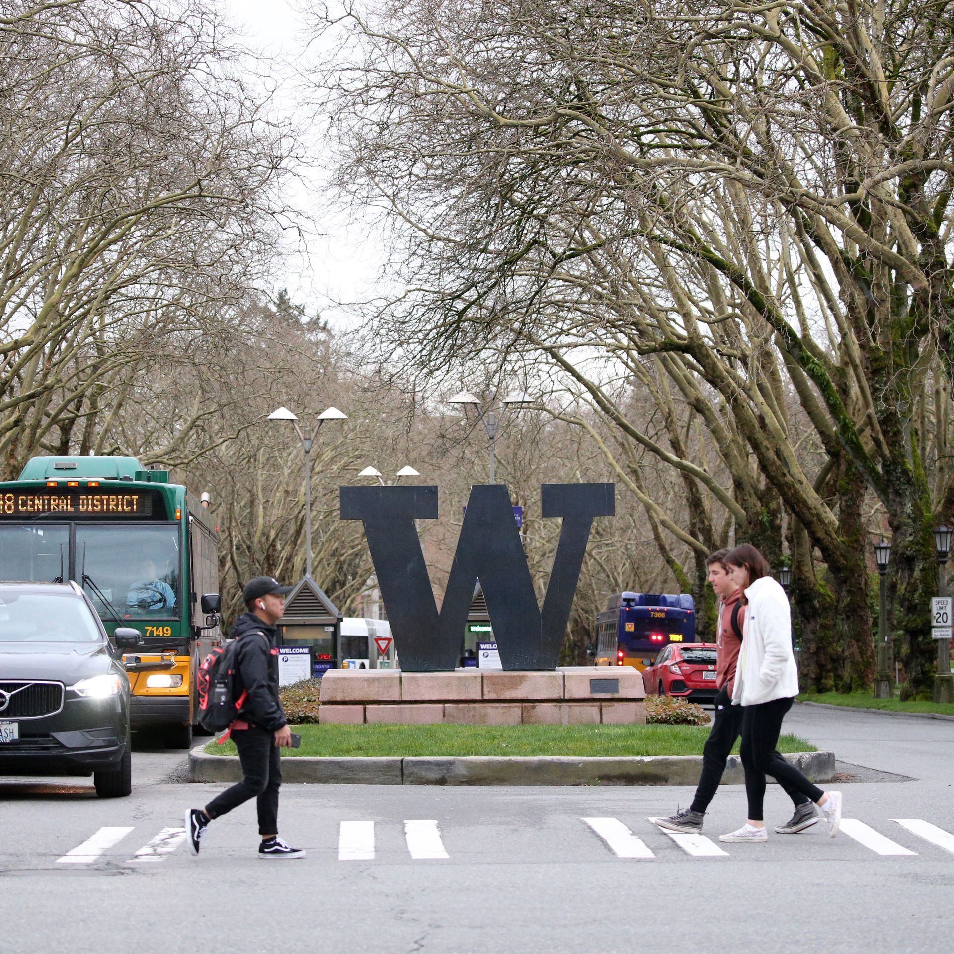 ワシントン大学　ペナント　University of Washington University of Washington (UW) (Washington, USA)