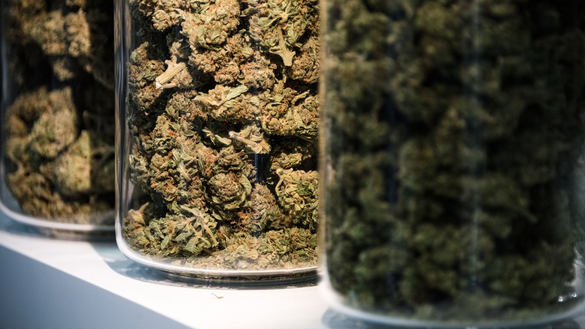 Photo of two glass jars of dried cannabis