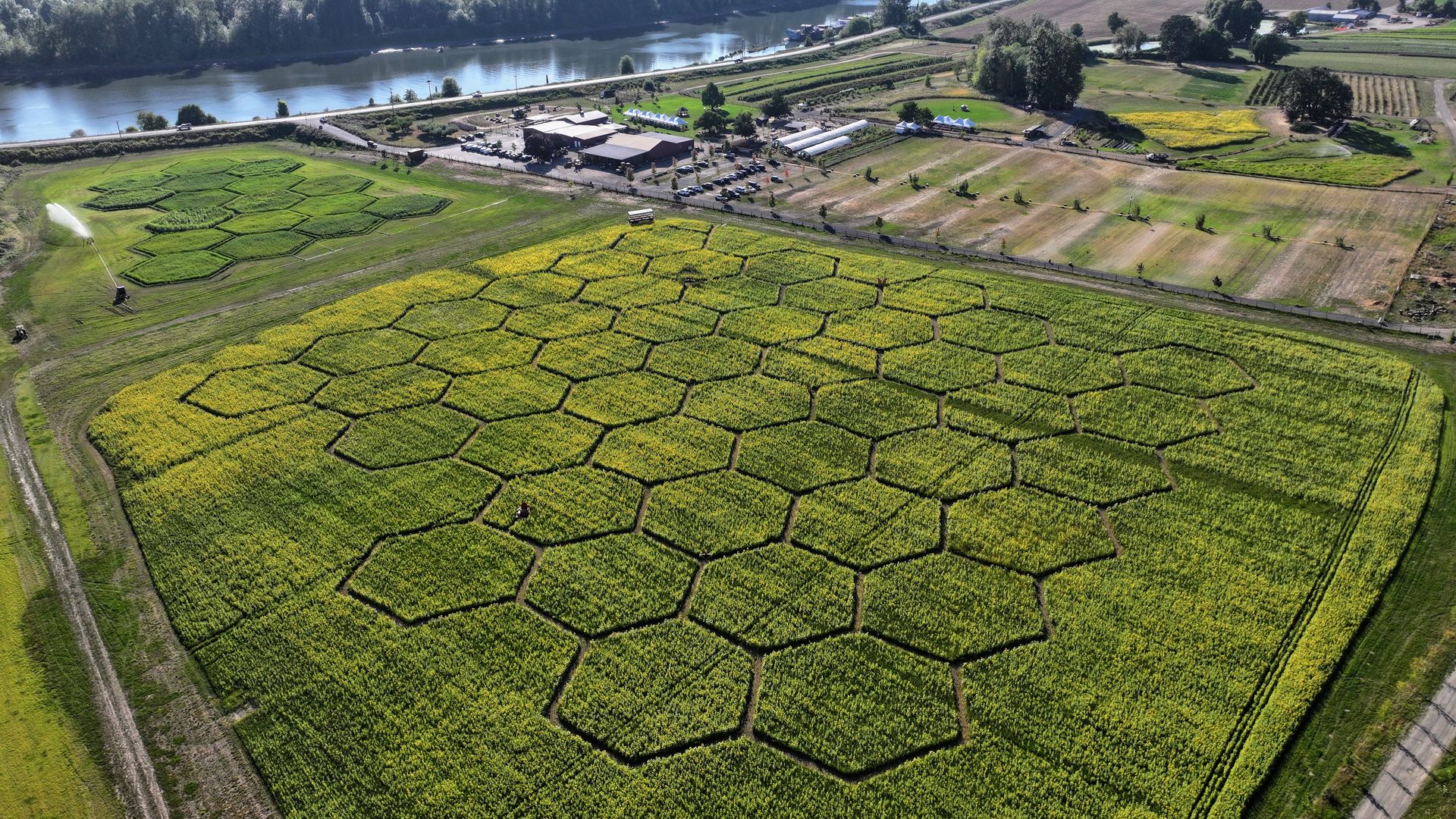 Aerial view of a rural landscape with a winding river, forested hills, and hexagonal green fields; farm buildings and tents cluster near a road.