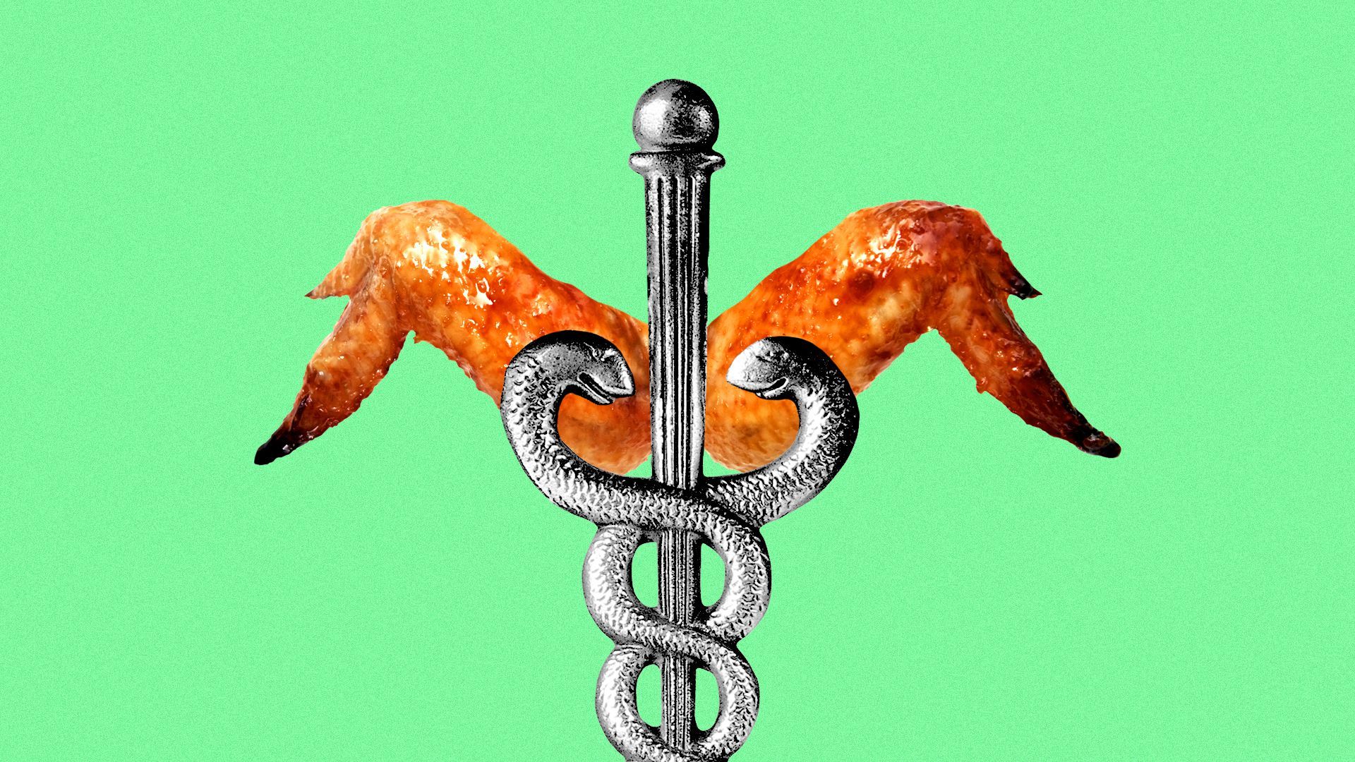 Illustration of a caduceus with cooked chicken wings instead of regular wings.