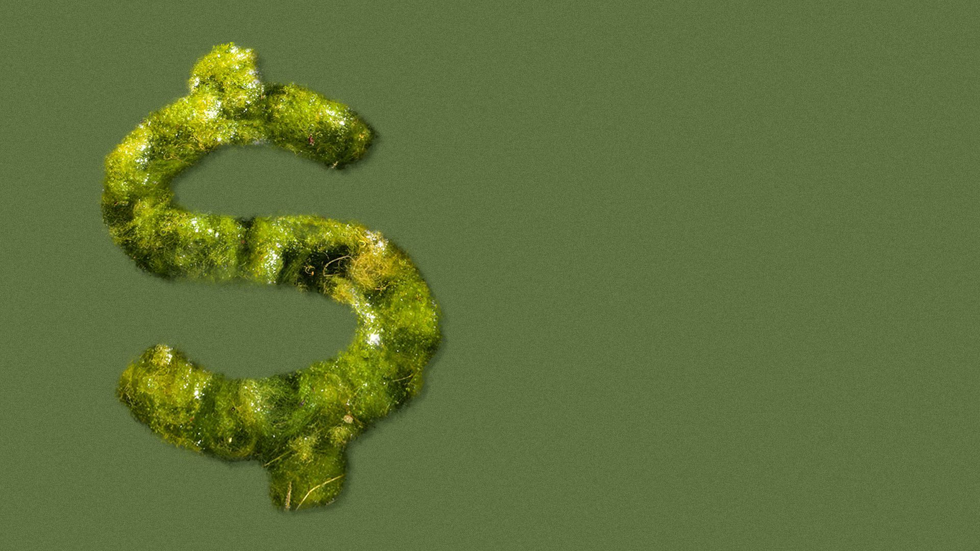 Illustration of algae forming the shape of a dollar sign.