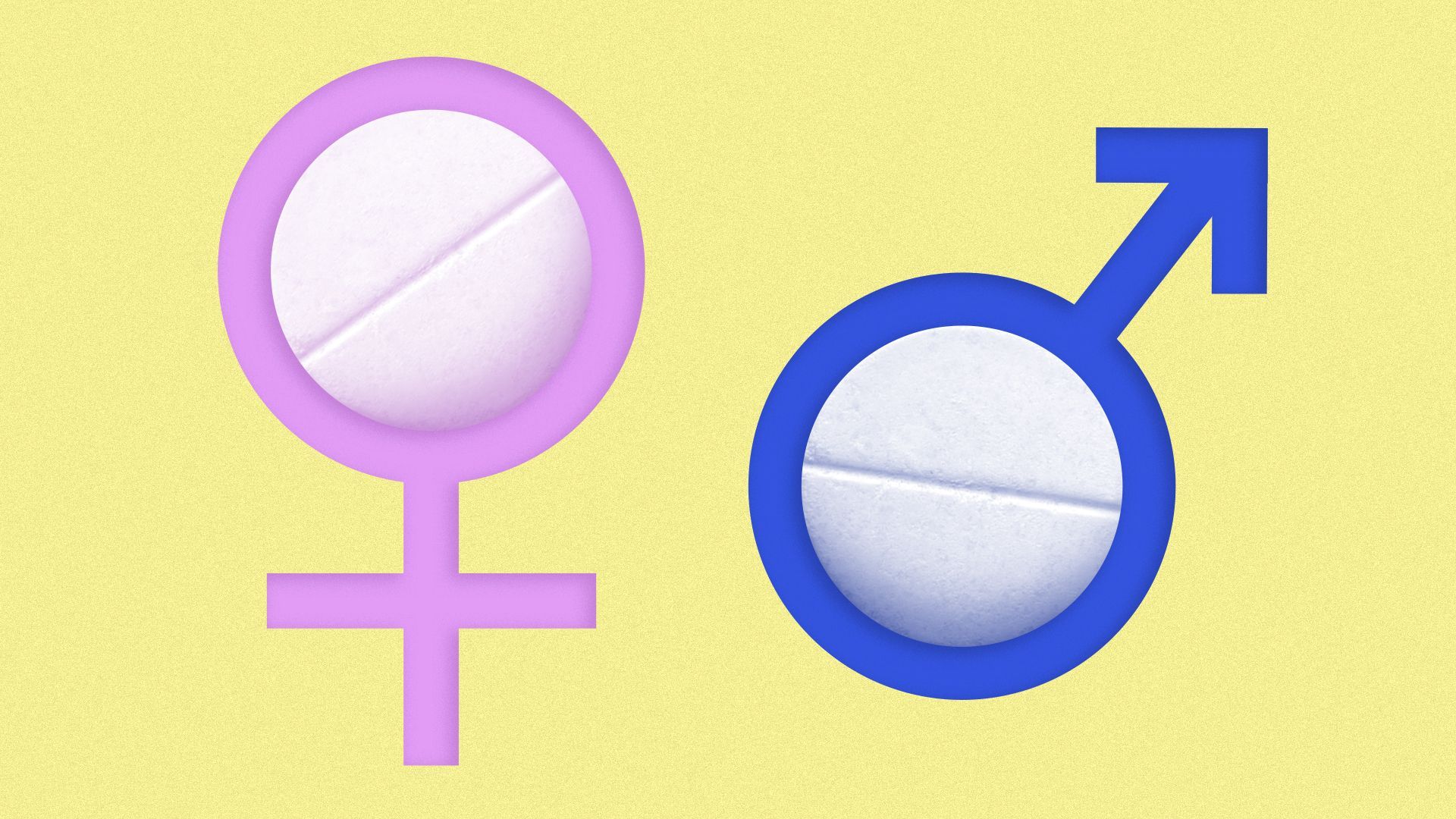 Illustration of the male and female symbol made of pills.
