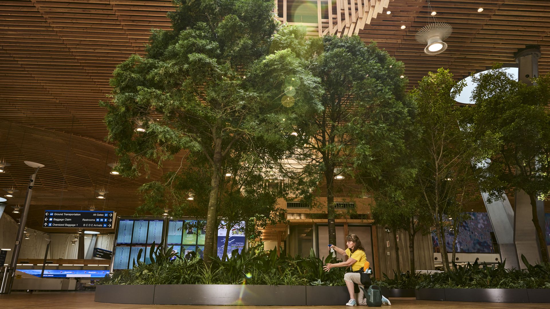 Woman in a yellow shirt tending to plants inside a modern building with wooden ceiling, large indoor trees, and flight information displays visible in the background.