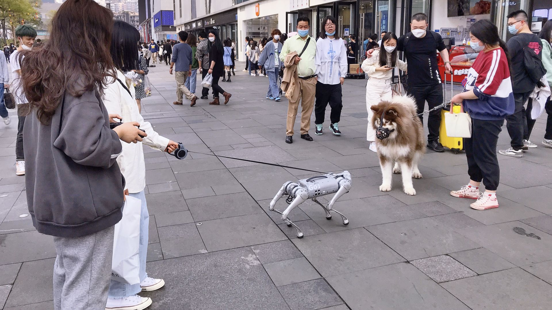 A robotic dog faces a real one on the sidewalk in Chengdu, China 