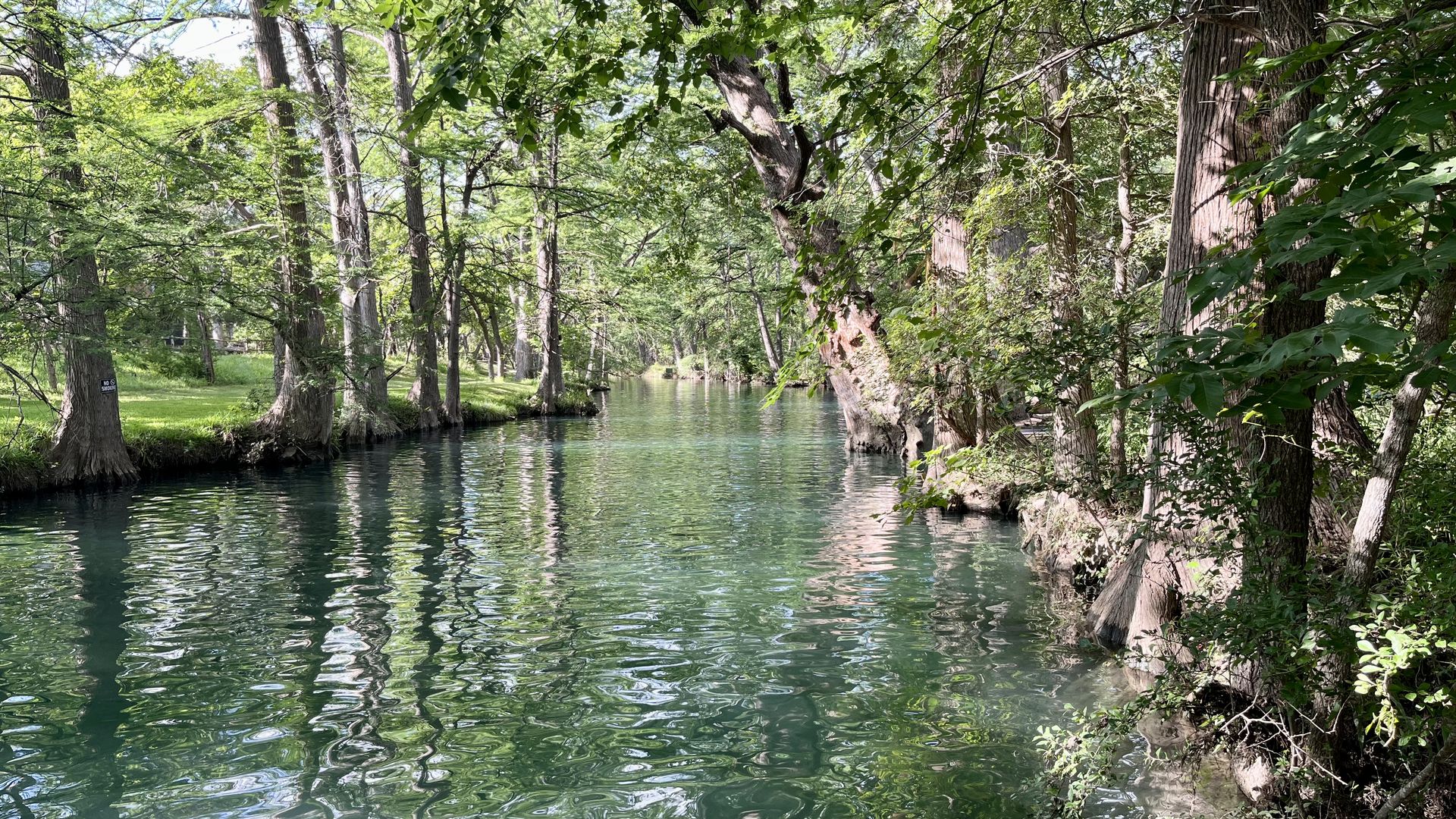 A blue-green colored river with sunlight on it shining through Cypress trees lining the river.