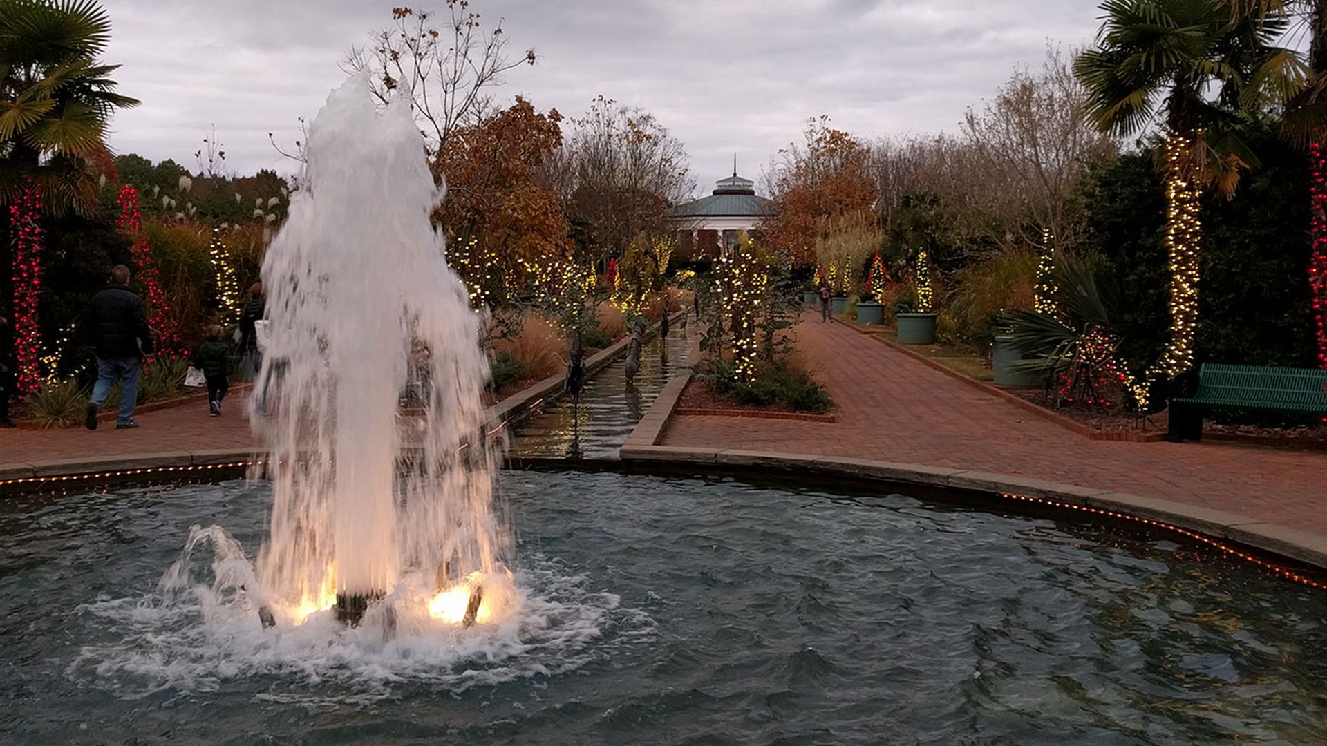 daniel-stowe-holiday-lights-cover