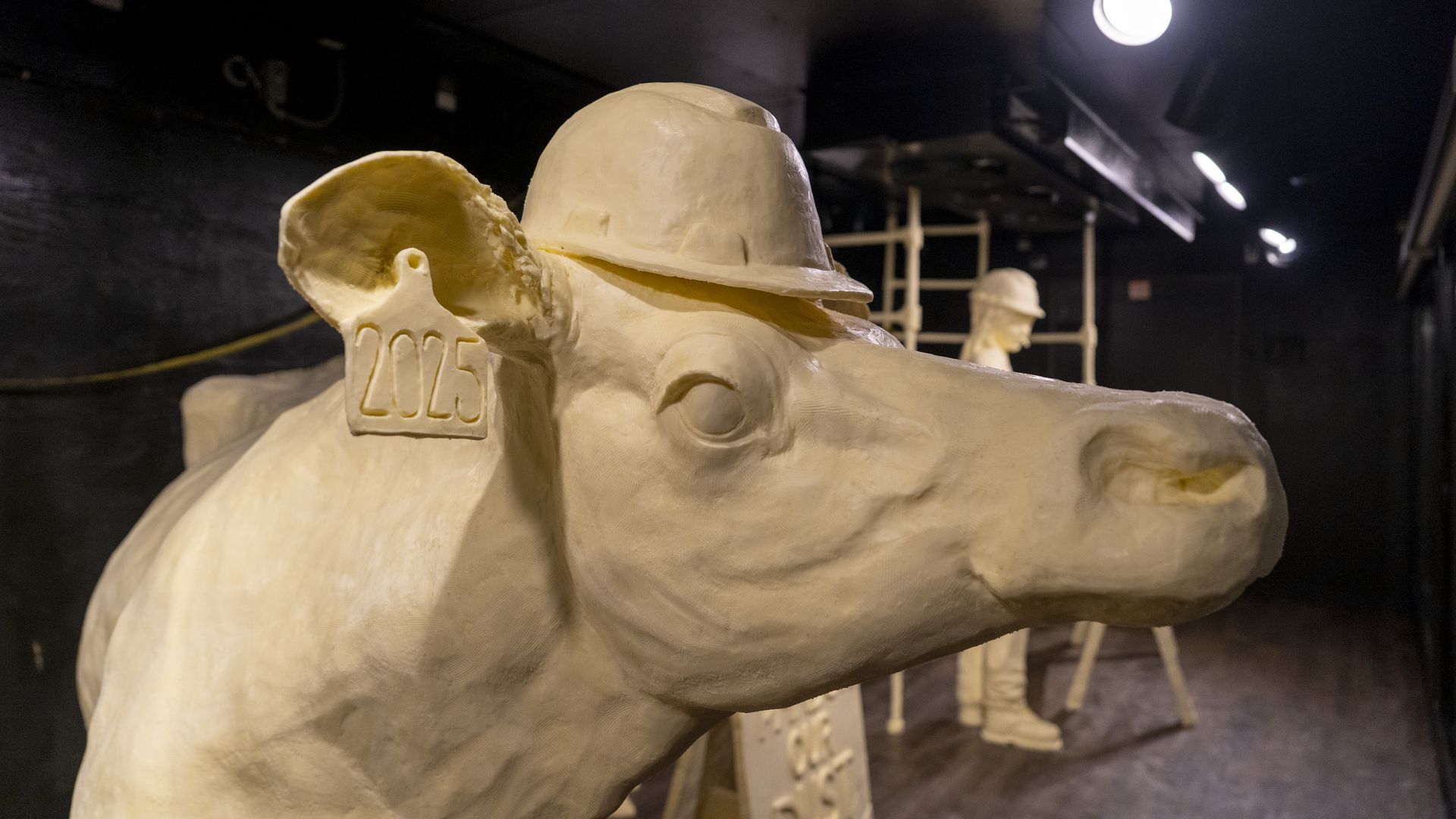 Large butter sculpture of a cow wearing a construction helmet with an ear tag labeled 2025, displayed indoors with a similarly colored human figure sculpture in the background.