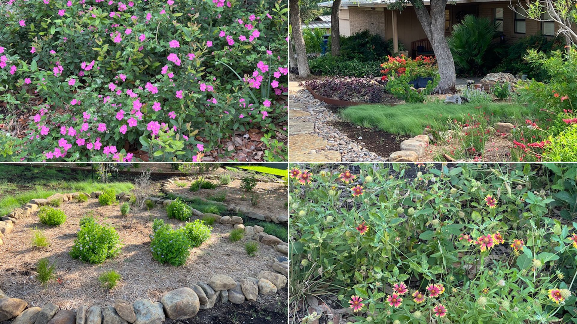 A collage of four garden scenes: the top left shows small pink flowers amid greenery, the top right a landscaped yard with green grass, bushes and flowers, the bottom left a mulched garden with stone borders and green shrubs, and the bottom right shows yellow-red wildflowers.