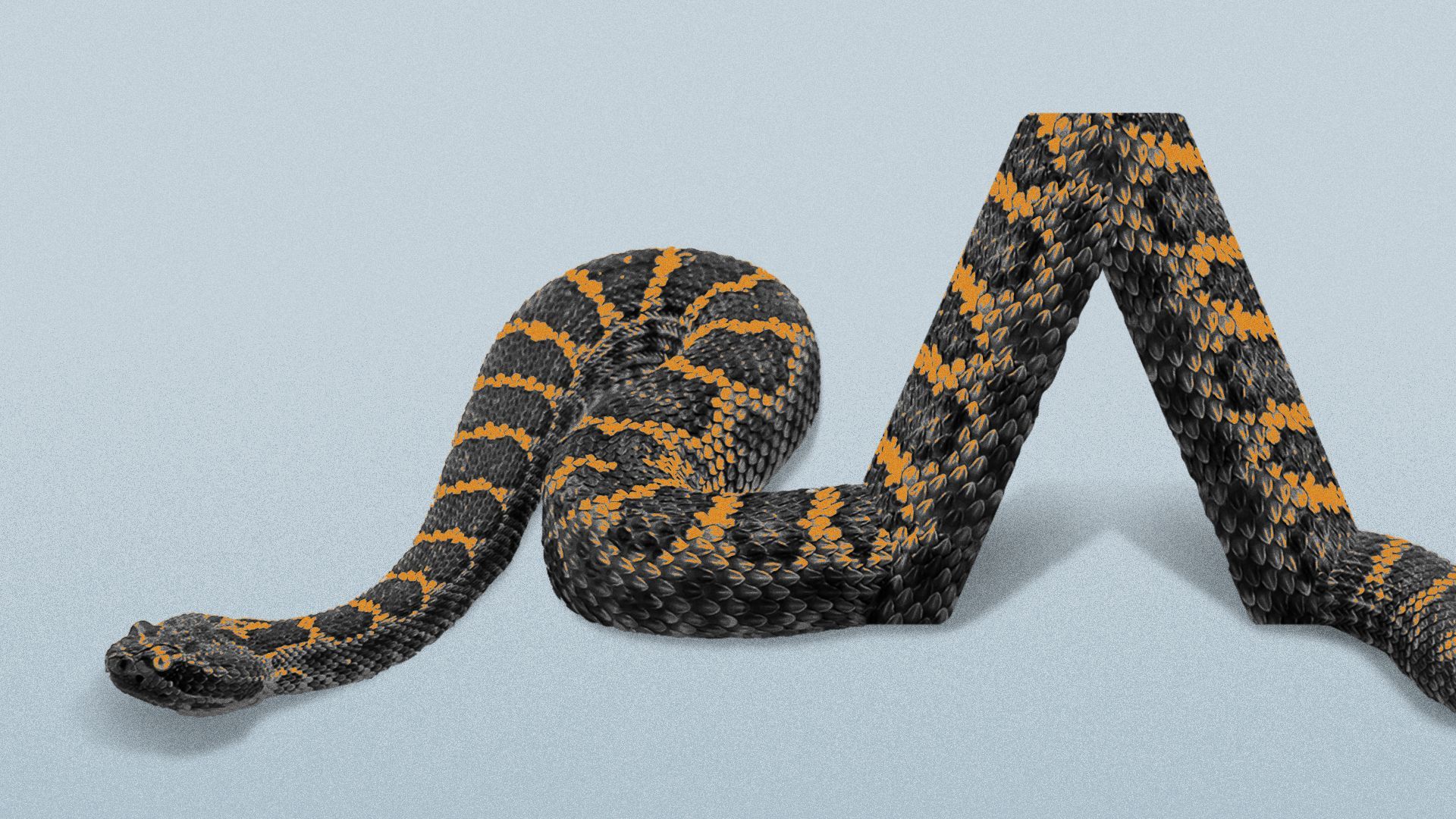 Illustration of a rattlesnake that has swallowed the Axios logo. 