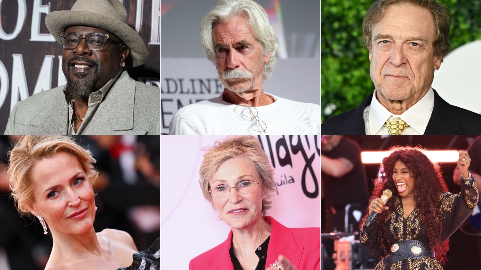 Six-panel collage of celebrities at events: top row shows three men (one wearing a beige hat), bottom row shows three women (one singer performing).