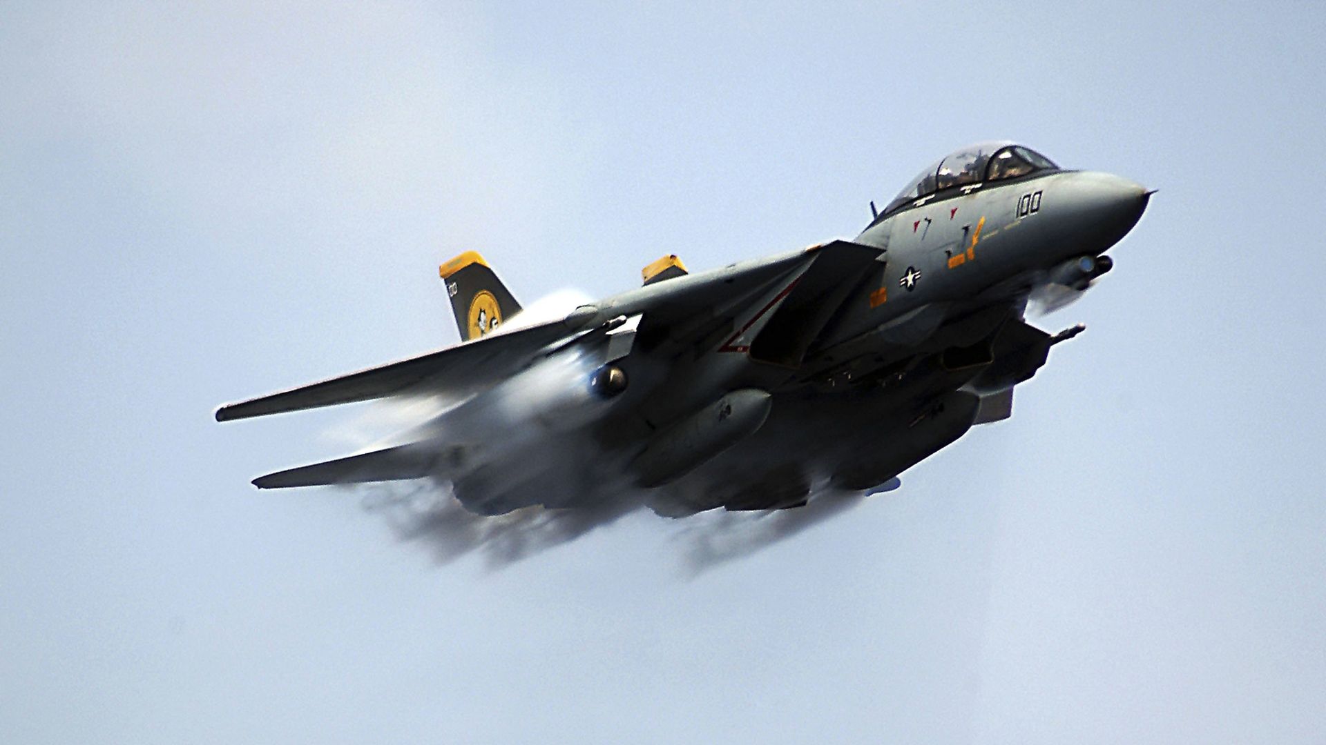 An F-14 fighter jet is shown mid-flight.