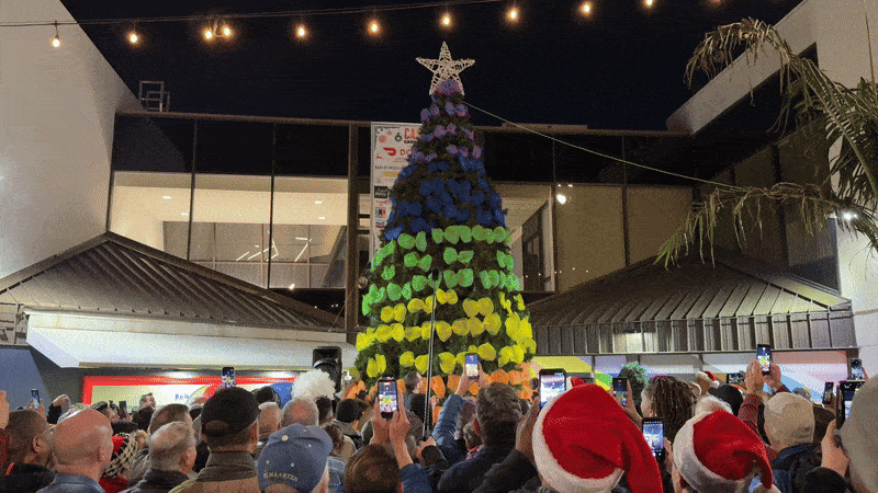 castro tree lighting celebration san francsico