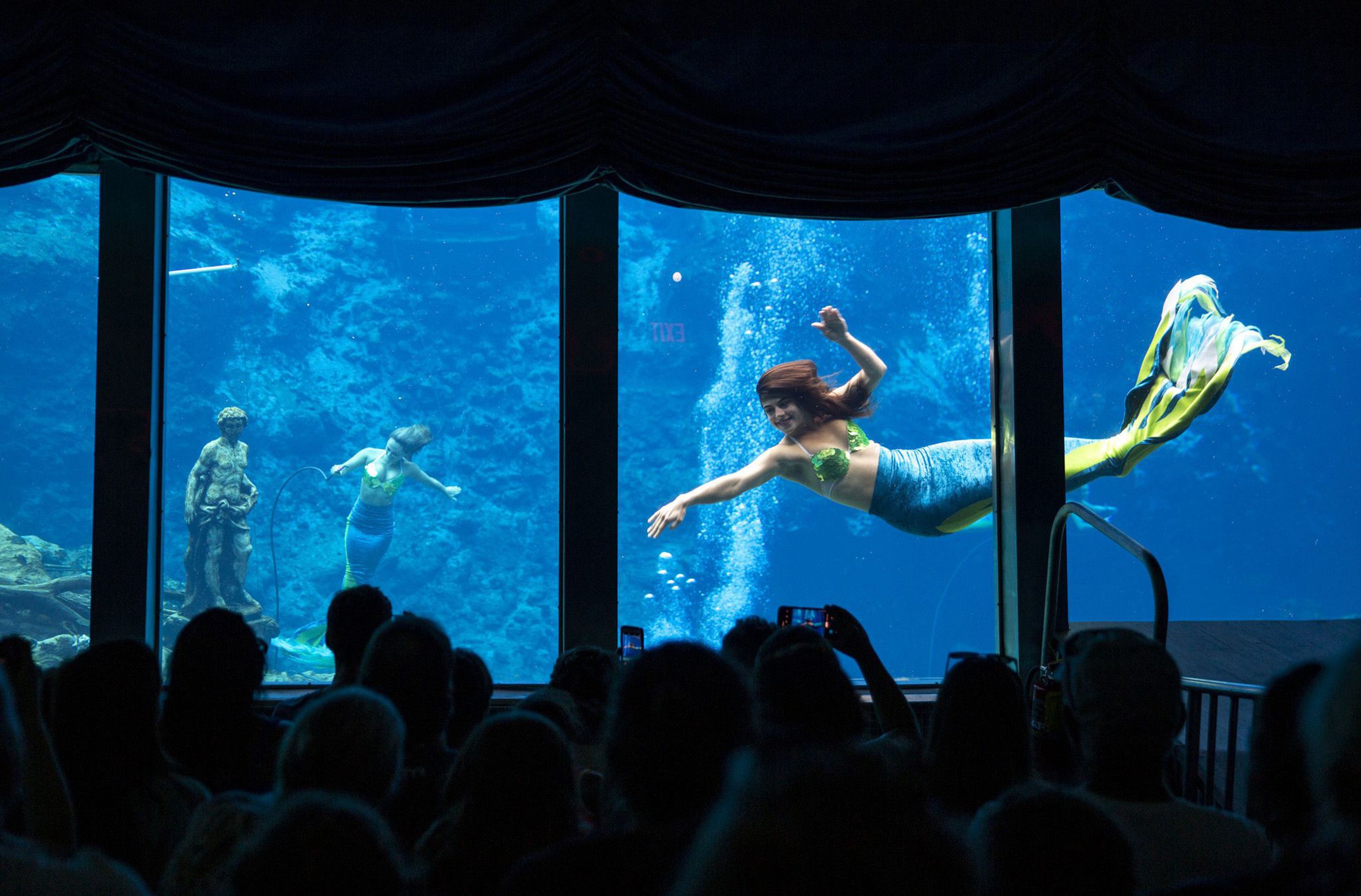 Weeki Wachee mermaids perform "The Little Mermaid" at Weeki Wachee Springs State Park in Florida on Aug. 6, 2019. (Patrick Connolly/Orlando Sentinel/Tribune News Service via Getty Images)