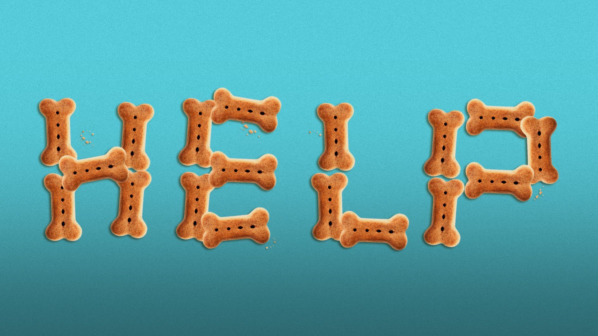 Illustration of dog treats spelling out “HELP”. 