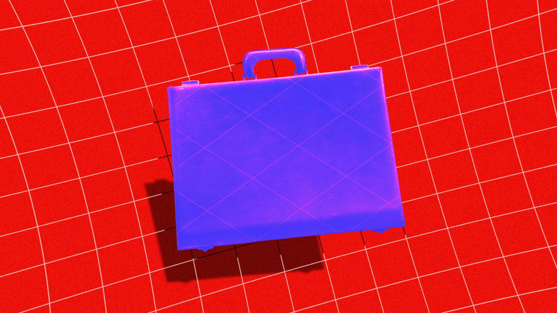Illustration of a briefcase in the middle of a net