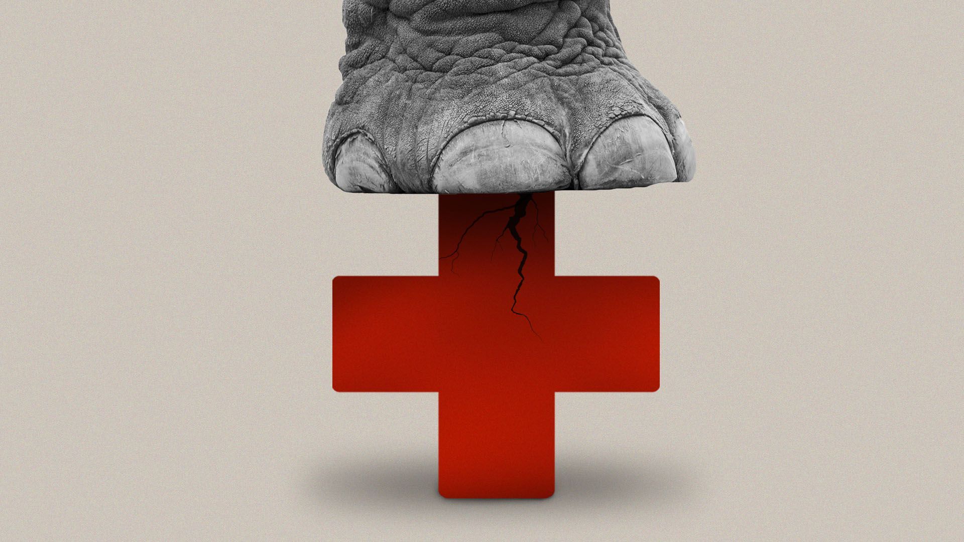illustration of an elephant's foot crushing a red cross symbol 