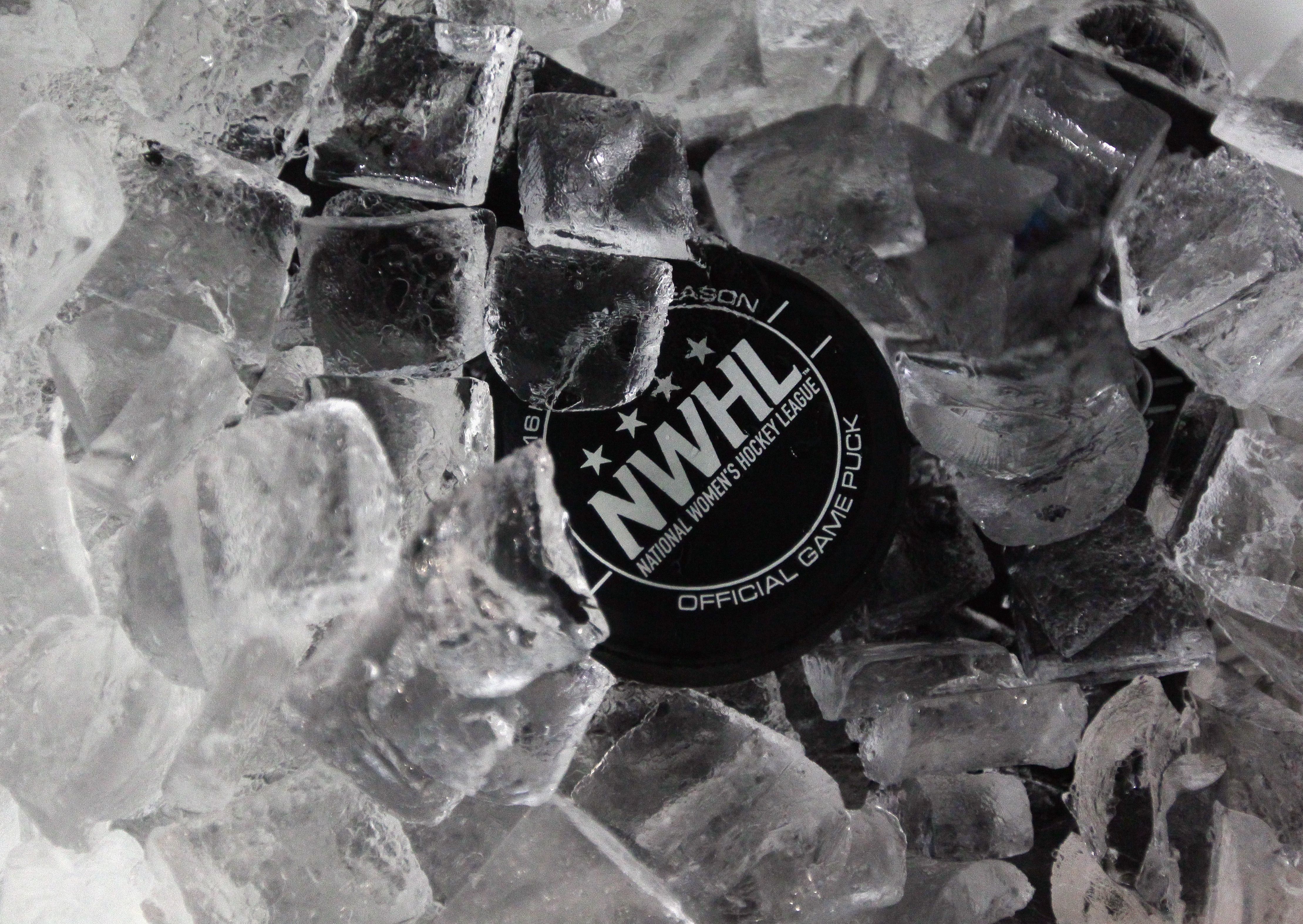 nwhl hockey puck