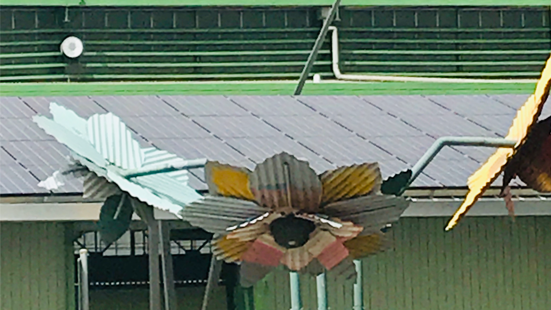 Image of an Australian flower shop with a solar roof