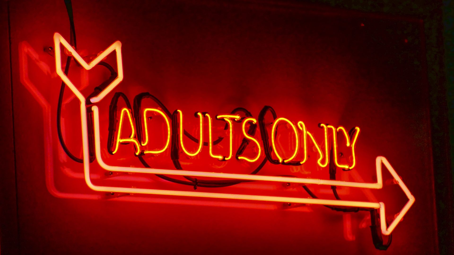 An adults only neon sign