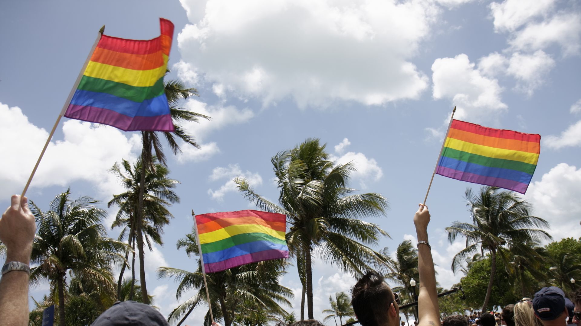 People waving rainbow LGBTQ+ pride flags outdoors on a sunny day with palm trees and blue sky with clouds during a parade or event.