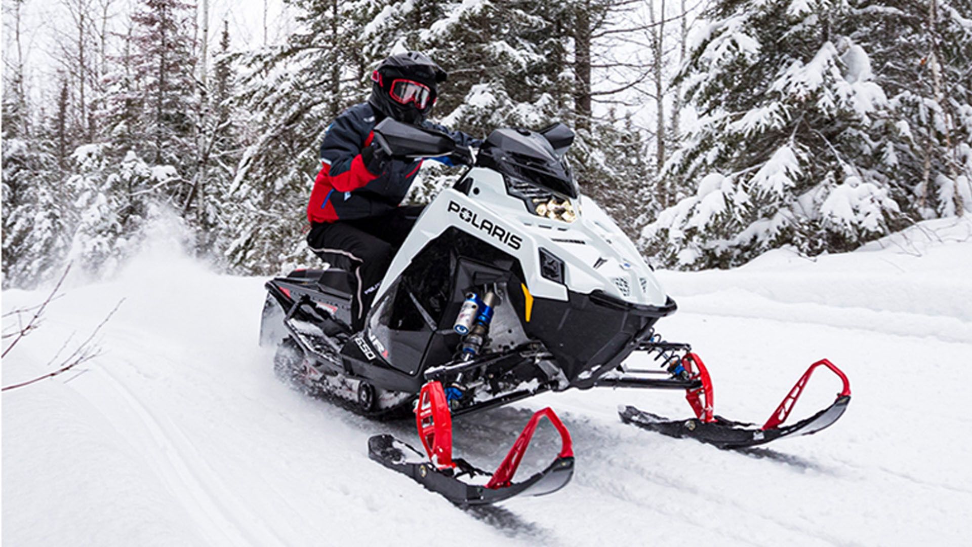 Image of a person riding a snowmobile in the woods