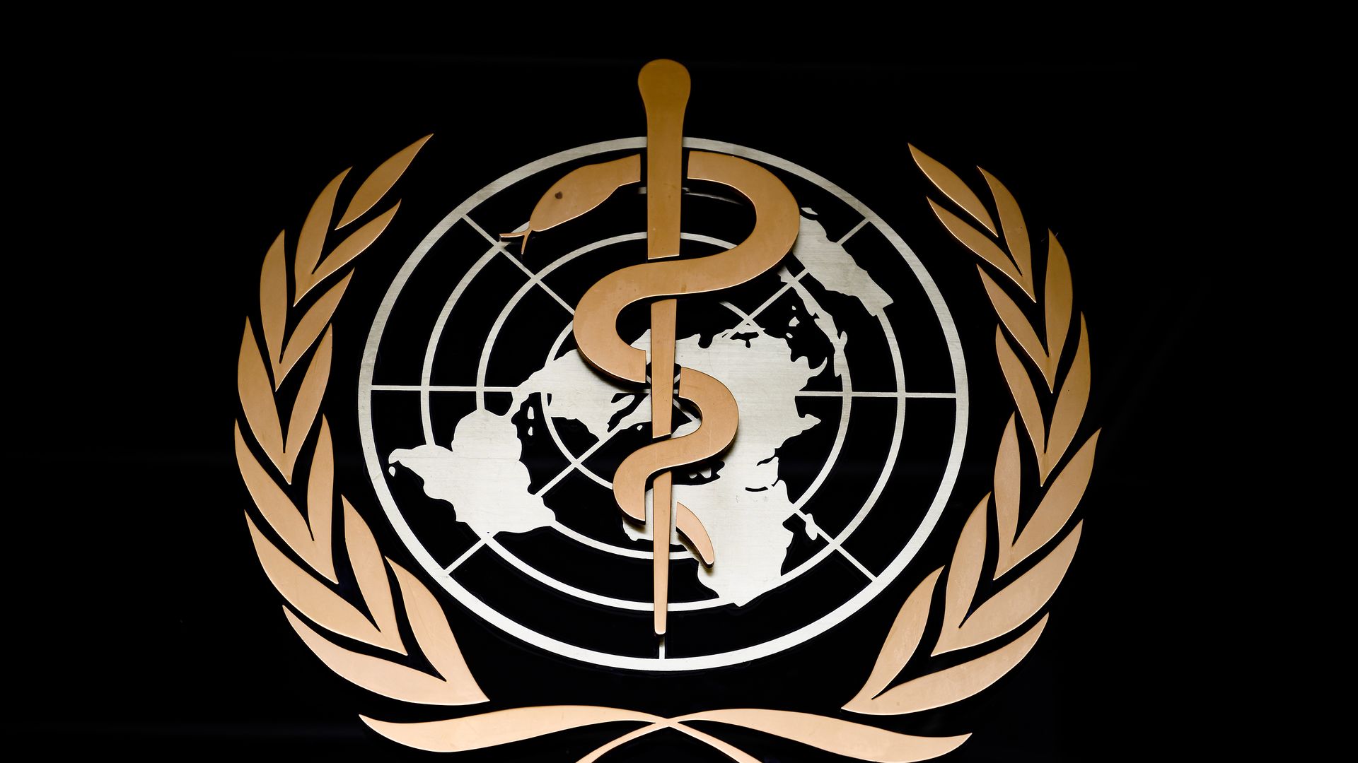 %h3 World Health Organization logo. 