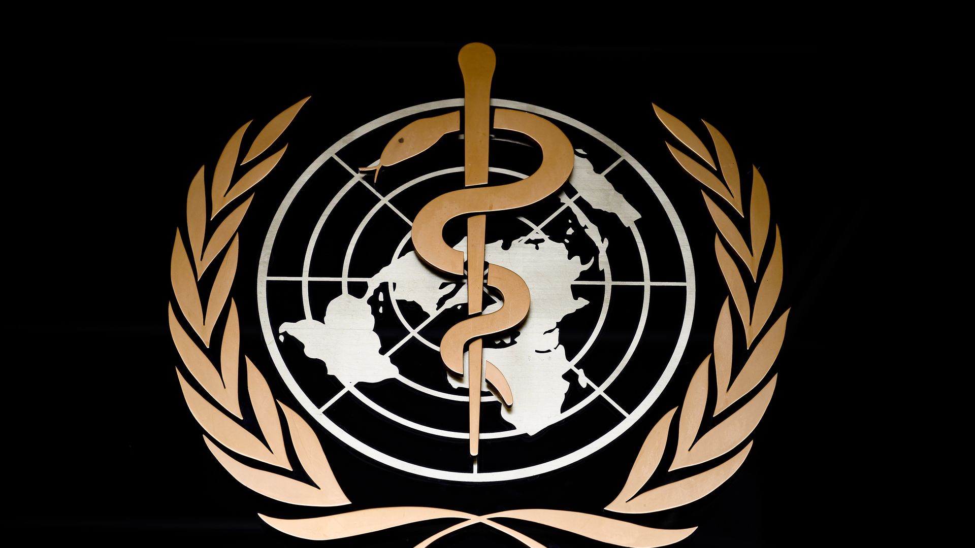 %h3 World Health Organization logo.