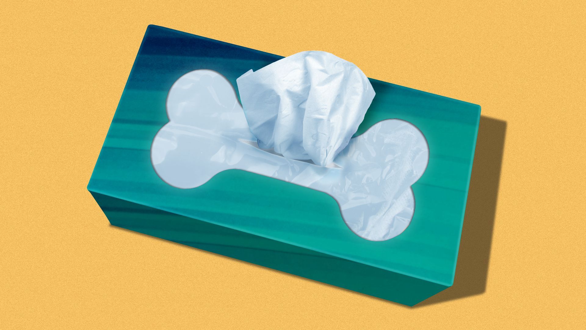 Illustration of a tissue box with the opening in the shape of a dog bone