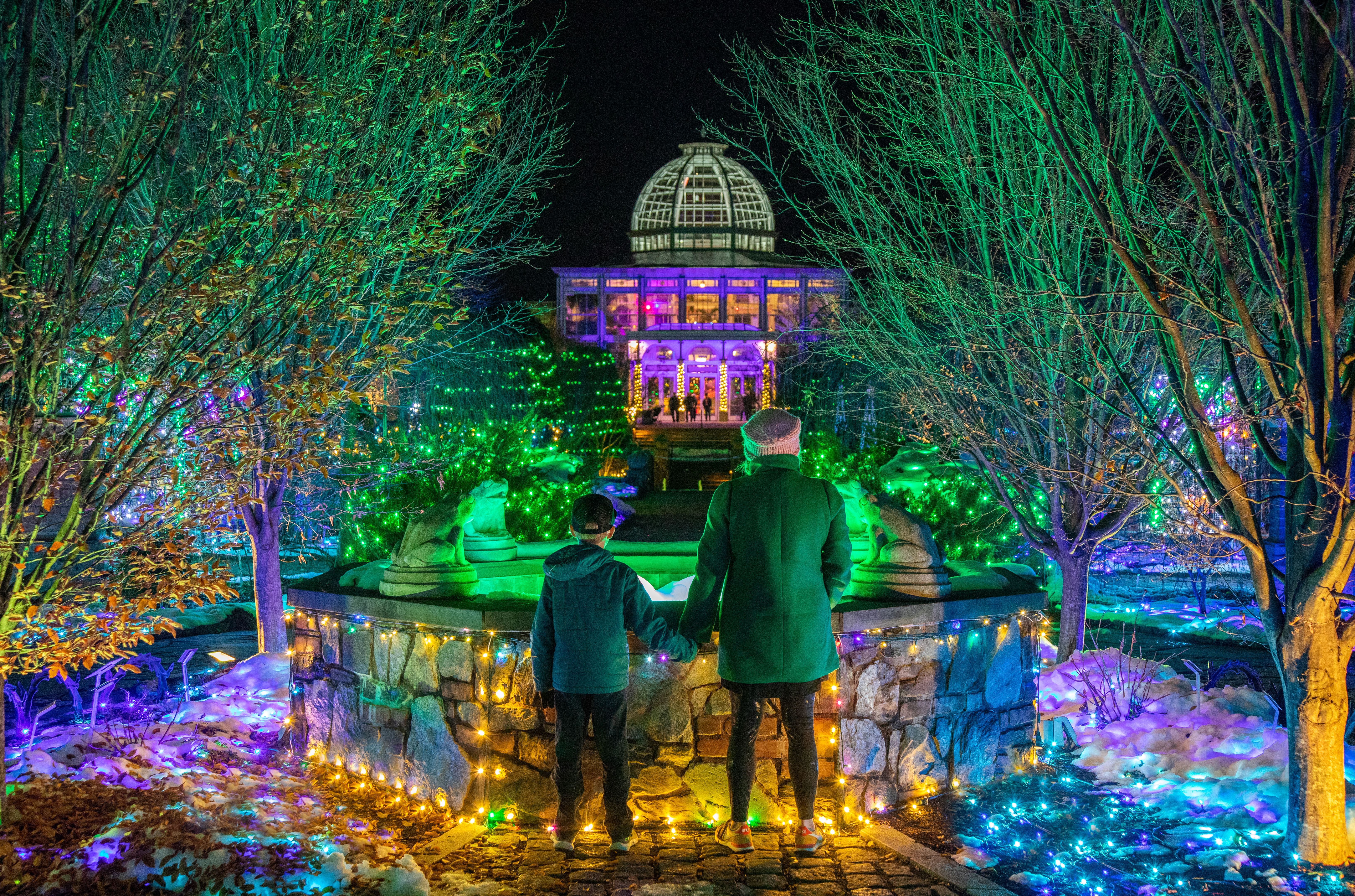 a bunch of holiday lights in a garden with a lit up glass building 