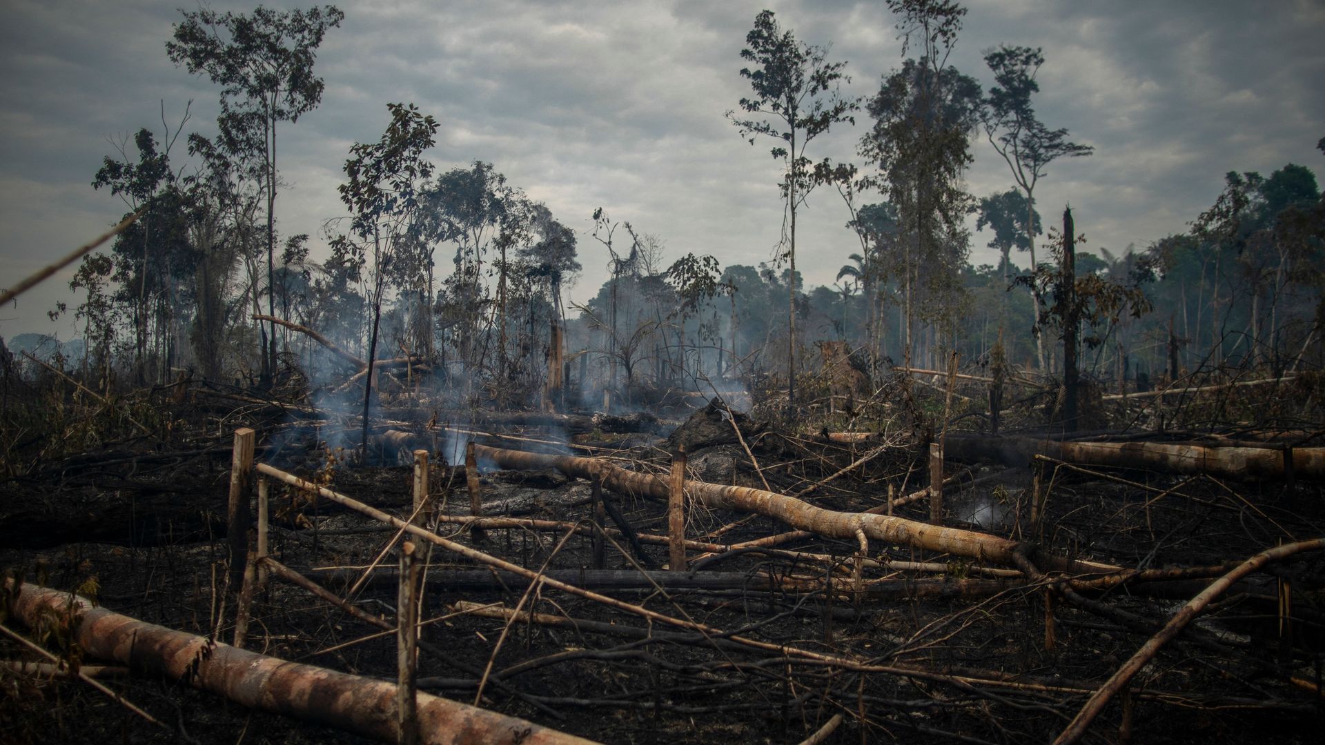 General view of a burnt area of the Amazonia rainforest in the surroundings of the city of Porto Velho, Rondonia state, Brazil, on September 15, 2021. 